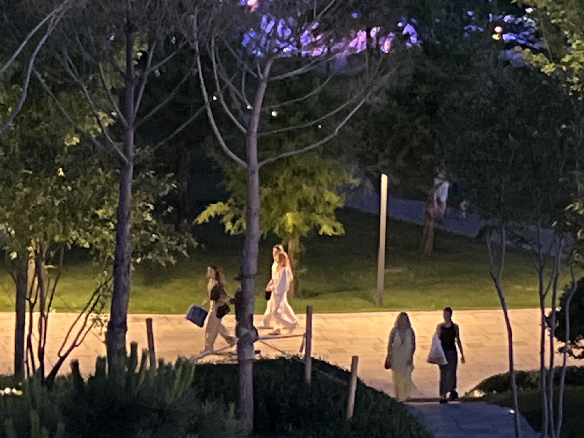 The image depicts a nighttime scene in a park in Krasnodar, Russia. Several individuals are walking along a paved pathway. On the left, two women are walking side-by-side, one carrying a dark blue bag. Further to the right, two more individuals are walking, one in a light-colored outfit and another in darker attire. In the far right, a person in a light-colored dress is visible. The pathway is illuminated by artificial lighting, casting a warm glow. Trees with bare branches and some foliage are scattered throughout the scene, with decorative lights visible in some of the trees, casting purple and pink hues. The background consists of trees and green spaces, with a streetlamp visible in the middle ground.