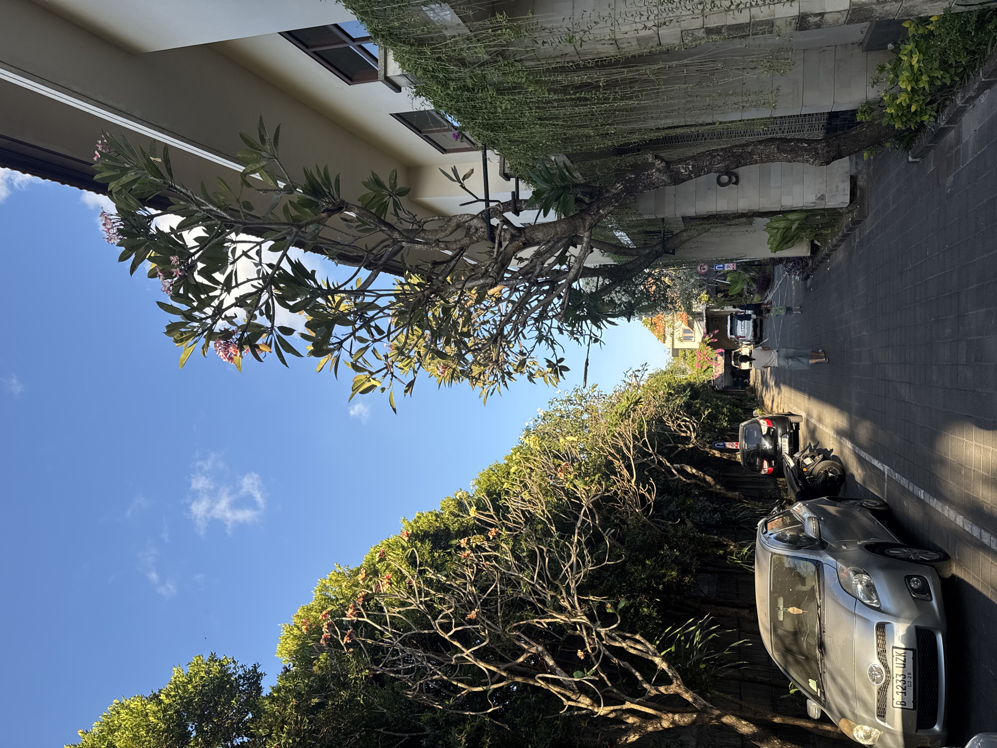 A narrow street in Denpasar, Indonesia, is lined with lush greenery and modern architecture. The sky is a clear blue, with a few wispy clouds. On the left side of the street, dense trees with pink flowers create a verdant canopy, casting dappled shadows on the paved walkway. A silver Toyota Yaris is parked on the left, its license plate reading "B 1233 UZK". Further down the street, a black car and a motorcycle are also parked.
On the right side of the street, a light-colored building with large windows and balconies is visible. Hanging plants cascade down the side of the building, adding a touch of nature to the urban landscape. A large number "9" is emblazoned on the building's facade. Two people are walking down the street: a woman in a light-colored top and blue pants, and a small child wearing a green shirt. The street appears quiet and peaceful, bathed in the warm sunlight of a clear day. The overall impression is one of a well-maintained, tropical urban environment.