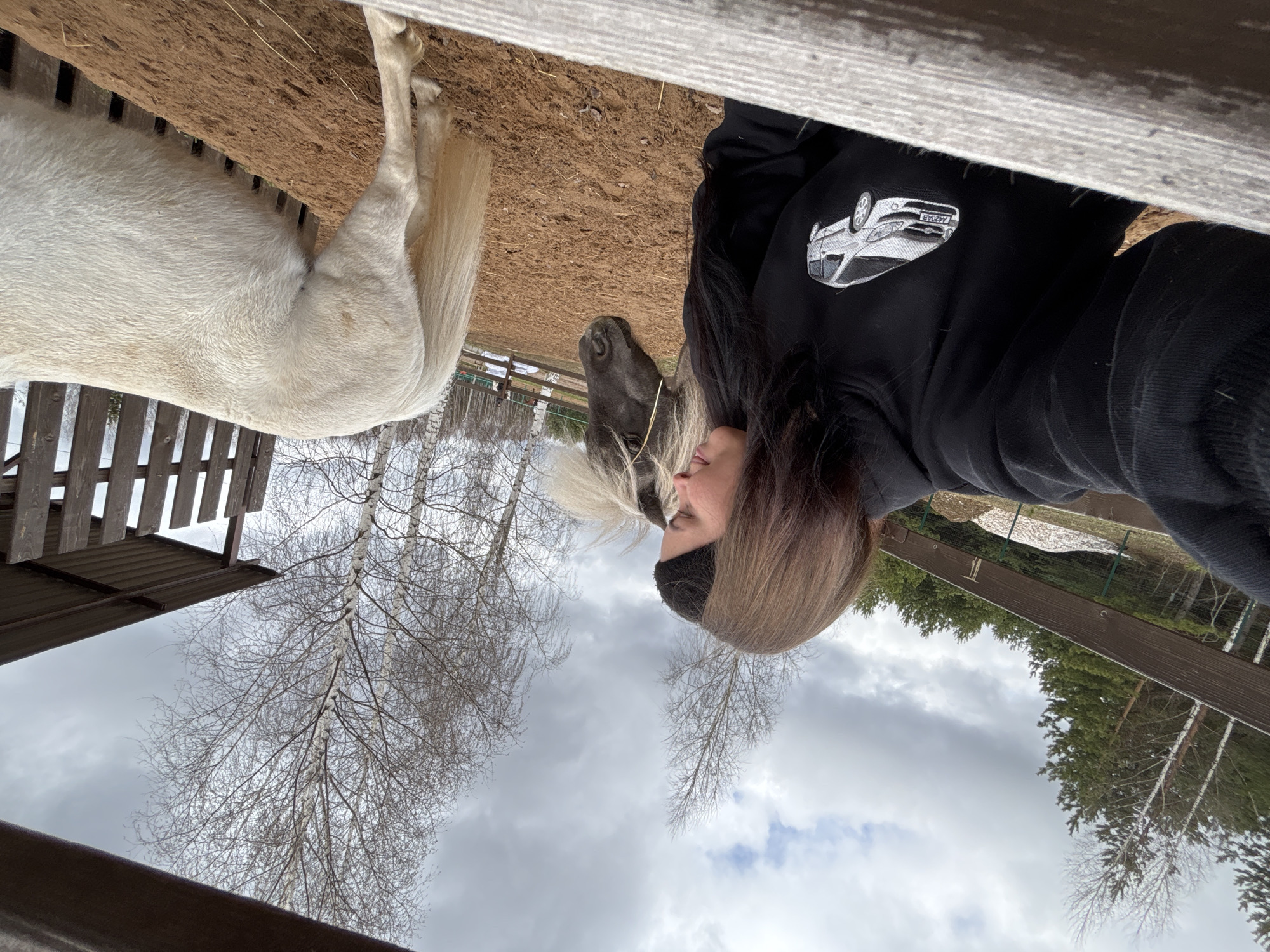 A rotated outdoor photograph captures a person interacting with horses in what appears to be a paddock or stable area in Русский Вожой, Russia. The image, taken from a low angle, shows a person with long brown hair, wearing a black hoodie and a black headband, in profile. Their face is positioned closely to the head of a dark-colored horse, which has a light-colored mane and dark muzzle, suggesting an affectionate moment. To the left, the midsection and tail of another white or light-colored horse are visible.
The person's black hoodie features an embroidered white car, possibly a hatchback or SUV, depicted upside down due to the image's rotation. The license plate on the embroidered car clearly displays the characters "A20AB".
The setting includes a dirt or sandy ground surface, and wooden fencing runs through the foreground and background. Above, a cloudy sky dominates, with several tall, bare deciduous trees, possibly birch, interspersed with coniferous trees. The bare branches of the deciduous trees suggest a cool season, likely late winter or early spring. The overall atmosphere is tranquil, focusing on the intimate connection between the person and the horses.