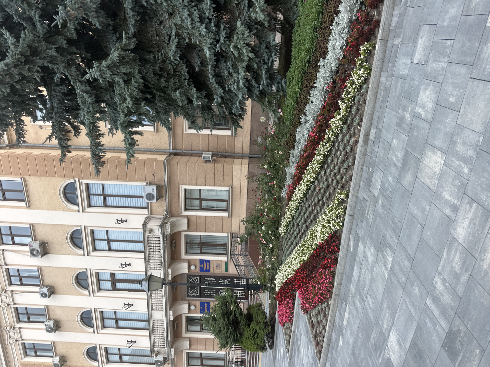 The image depicts a street view of a building in Ternopil, Ukraine. The building is a light brown, multi-story structure with cream-colored vertical accents. It features numerous windows, many with arched tops and some with air conditioning units mounted outside. A balcony with a white railing is visible on one level. In the foreground, a meticulously arranged flower bed displays a diagonal pattern of red, white, and pink flowers, interspersed with silver-grey foliage and dark green ground cover. The flower beds are bordered by grey paving stones. A large evergreen tree, likely a spruce or fir, stands to the right, partially obscuring the building. A lamppost is positioned in front of the building's entrance, which has a dark door with decorative elements. The area is paved with large, grey rectangular stones. There are no people visible in the image.