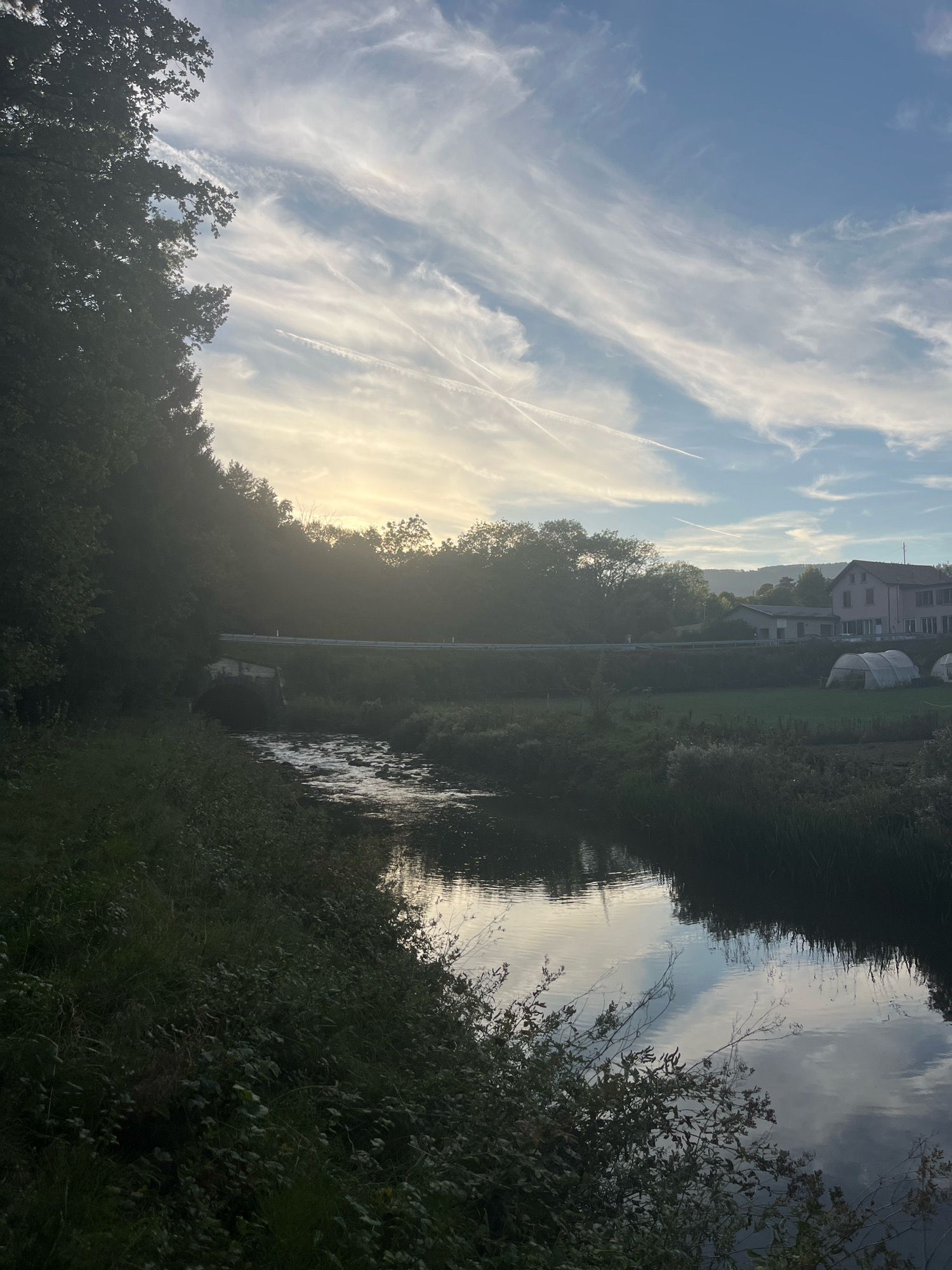 The image captures a serene natural scene with a river flowing through a lush green landscape. The sun is setting, casting a warm glow across the sky, which is adorned with wispy clouds. Trees line the left bank of the river, their leaves a deep green. In the distance, across the river, a road runs alongside a residential area with houses and greenhouses. The water reflects the sky and surrounding vegetation, creating a mirror-like effect. The overall atmosphere is peaceful and tranquil, suggesting a rural setting likely outside the main urban area of Chevilly, Switzerland.