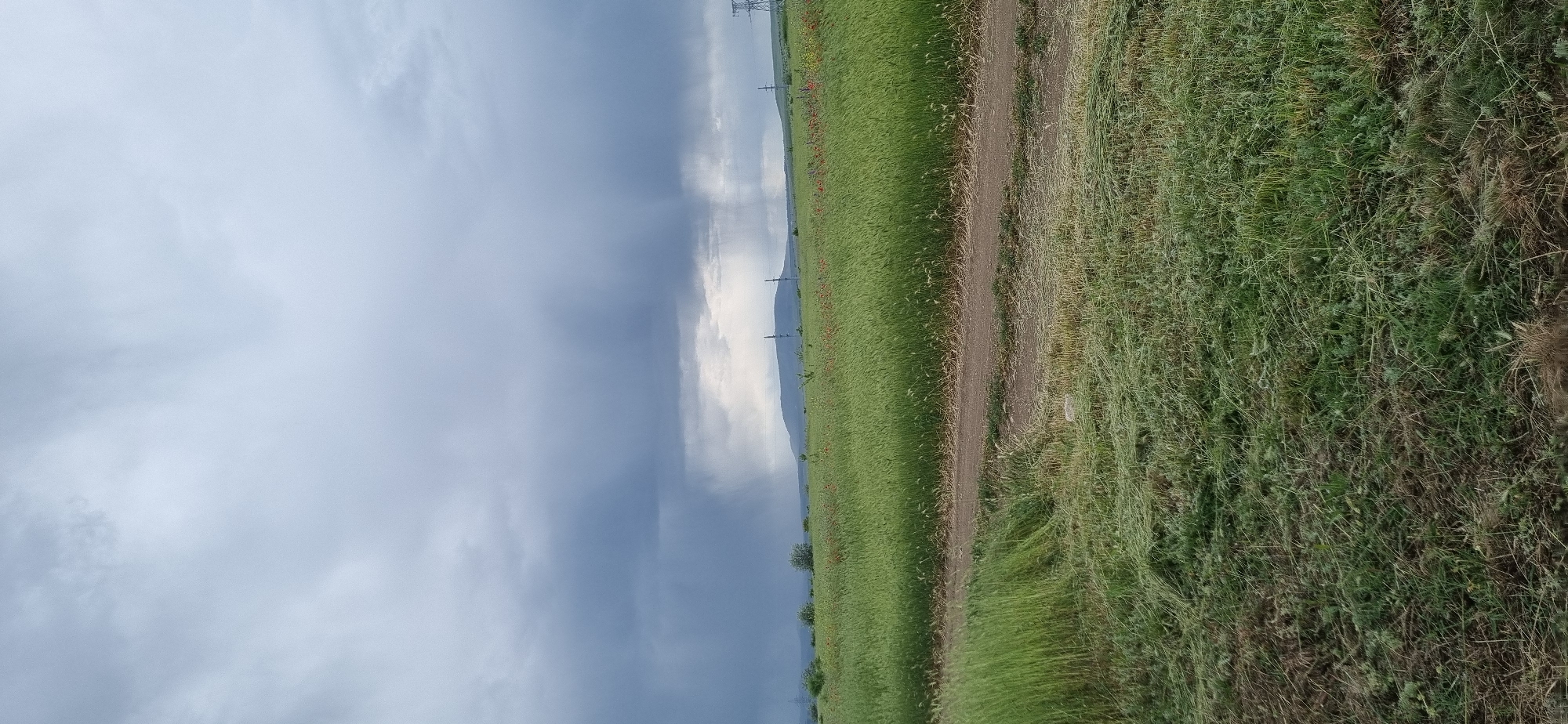 The image depicts a rural landscape in Blizhnee, Ukraine. A dirt path runs between a field of tall green grass and a patch of rough, overgrown vegetation. In the distance, power lines are visible against a backdrop of dark, cloudy skies and a sliver of a distant mountain. No people are visible.