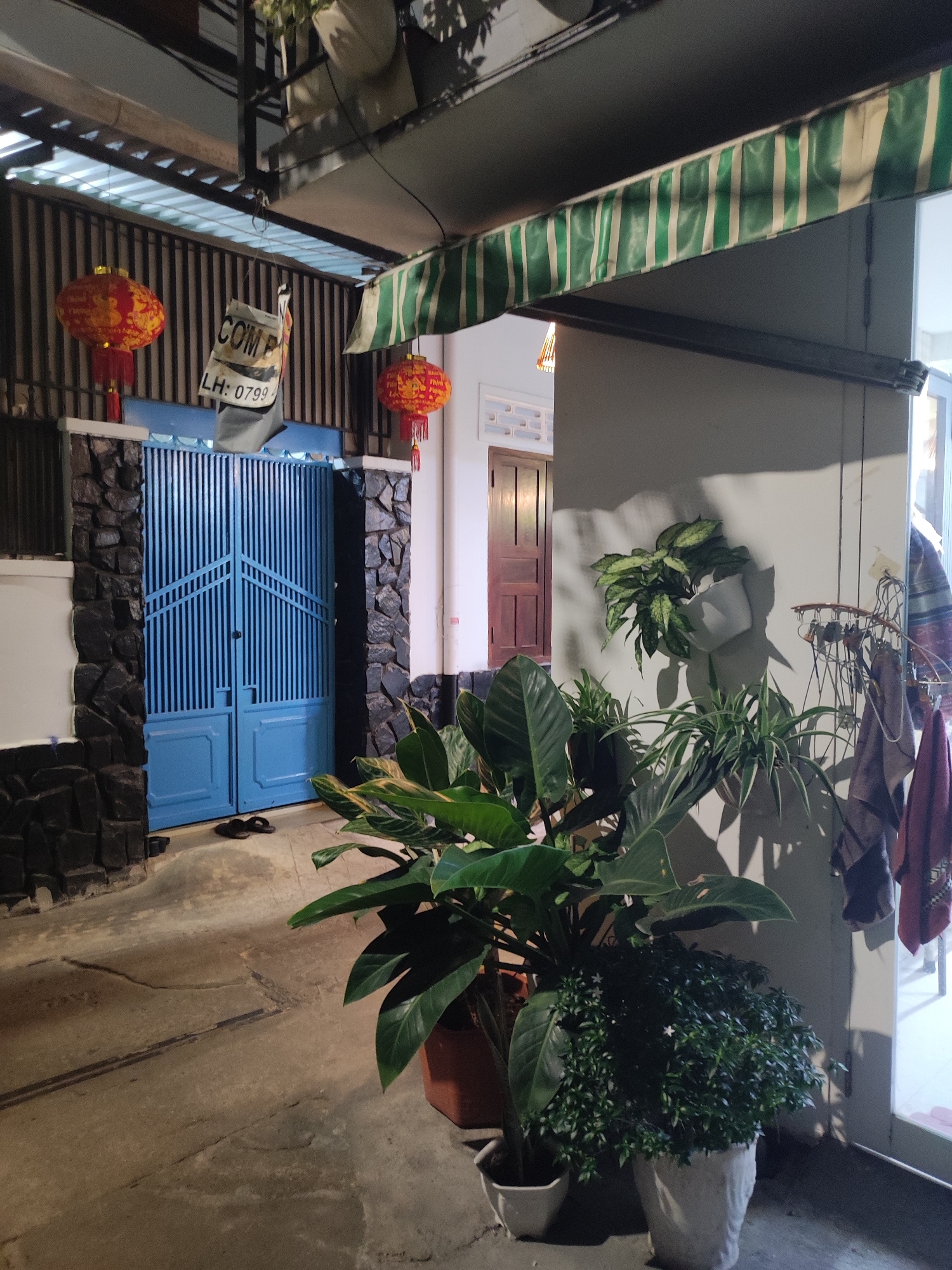 The image depicts a nighttime scene in a residential area, possibly a courtyard or alleyway, in Nha Trang Ward, Vietnam. In the foreground, several potted plants are visible, including a large plant with broad, dark green leaves and a smaller, denser plant with tiny white flowers. The ground is a concrete surface with some cracks and discoloration.
To the left, a blue metal gate with vertical slats and decorative geometric patterns is prominent. The gate is flanked by walls constructed of dark, rough-hewn stones. Above the gate, a sign is partially visible, reading "COMP" and "LH: 0799". Two red Chinese lanterns with yellow accents are hanging on the left side of the image, near the top.
A striped green and white awning extends from an overhead structure. The background reveals a dimly lit doorway and a portion of a white wall where a light-colored pot with a trailing plant is mounted. A rack with several pieces of cloth hanging on it is visible to the right of the plants, against the wall. The overall lighting suggests it is evening or night, with artificial lights illuminating the scene.