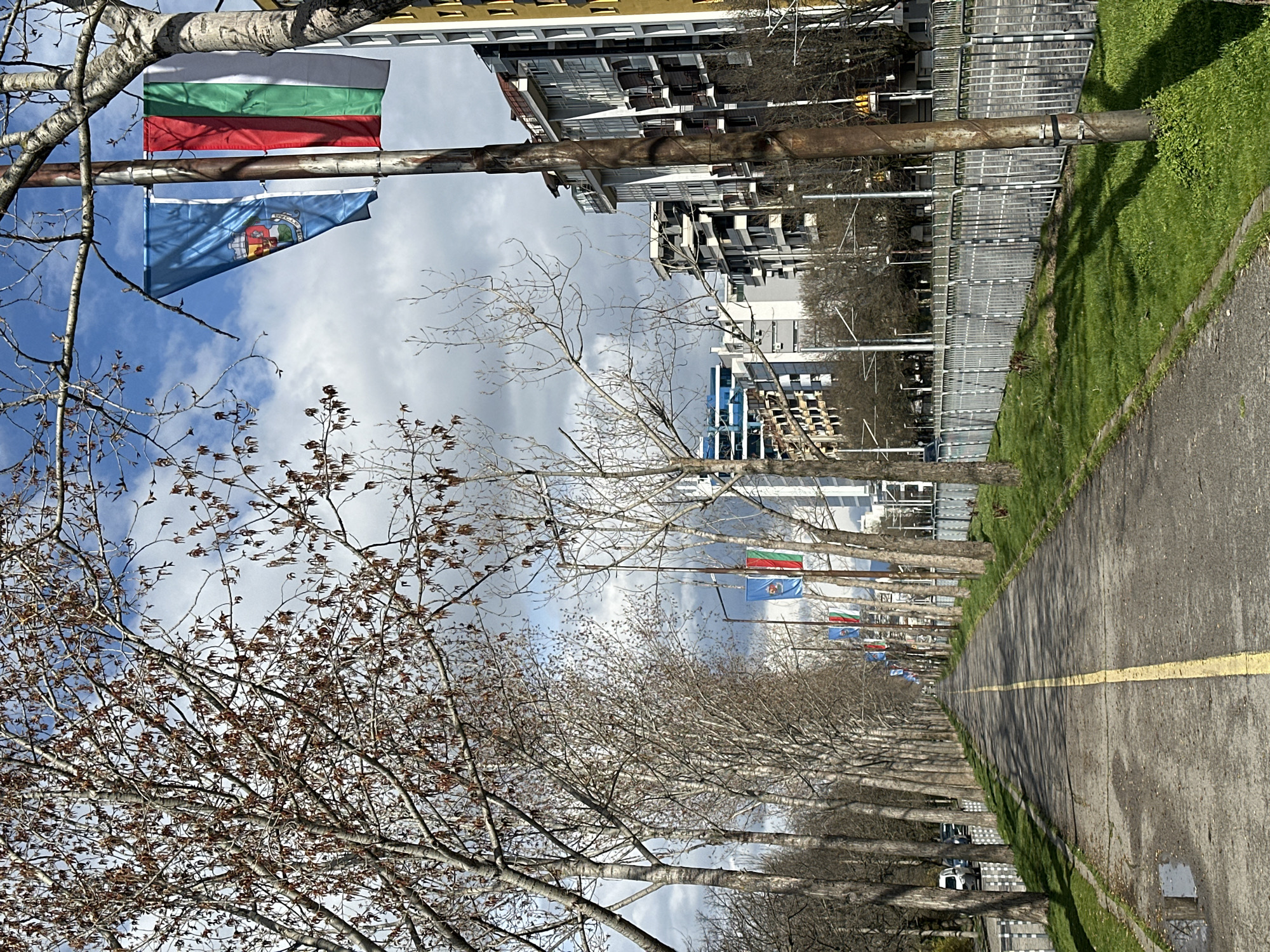 An eye-level view shows a row of bare trees along a path in Sofia, Bulgaria, with flags of Bulgaria and the city of Sofia hanging above. The path is made of gray concrete with a yellow line down the center. Green grass grows along the edge of the path. Buildings are visible in the background, ranging from low-rise to high-rise structures. The sky is cloudy.