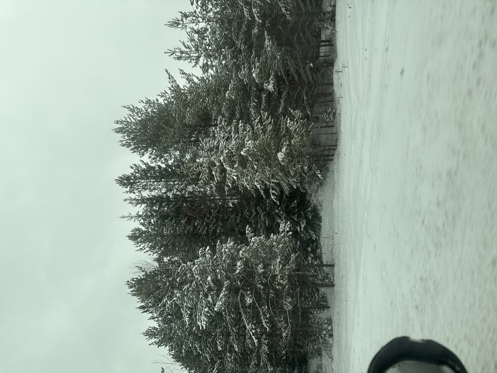 The scene depicts a snow-covered landscape with a dense forest on the left. The ground is completely covered in snow. The trees, primarily conifers, are also dusted with snow. The sky is overcast. There is a visible object in the lower right of the image, appearing to be part of a vehicle. The image appears to be taken during the day. The location is presumed to be near or within the vicinity of Chernovskoye, Russia, based on the query.