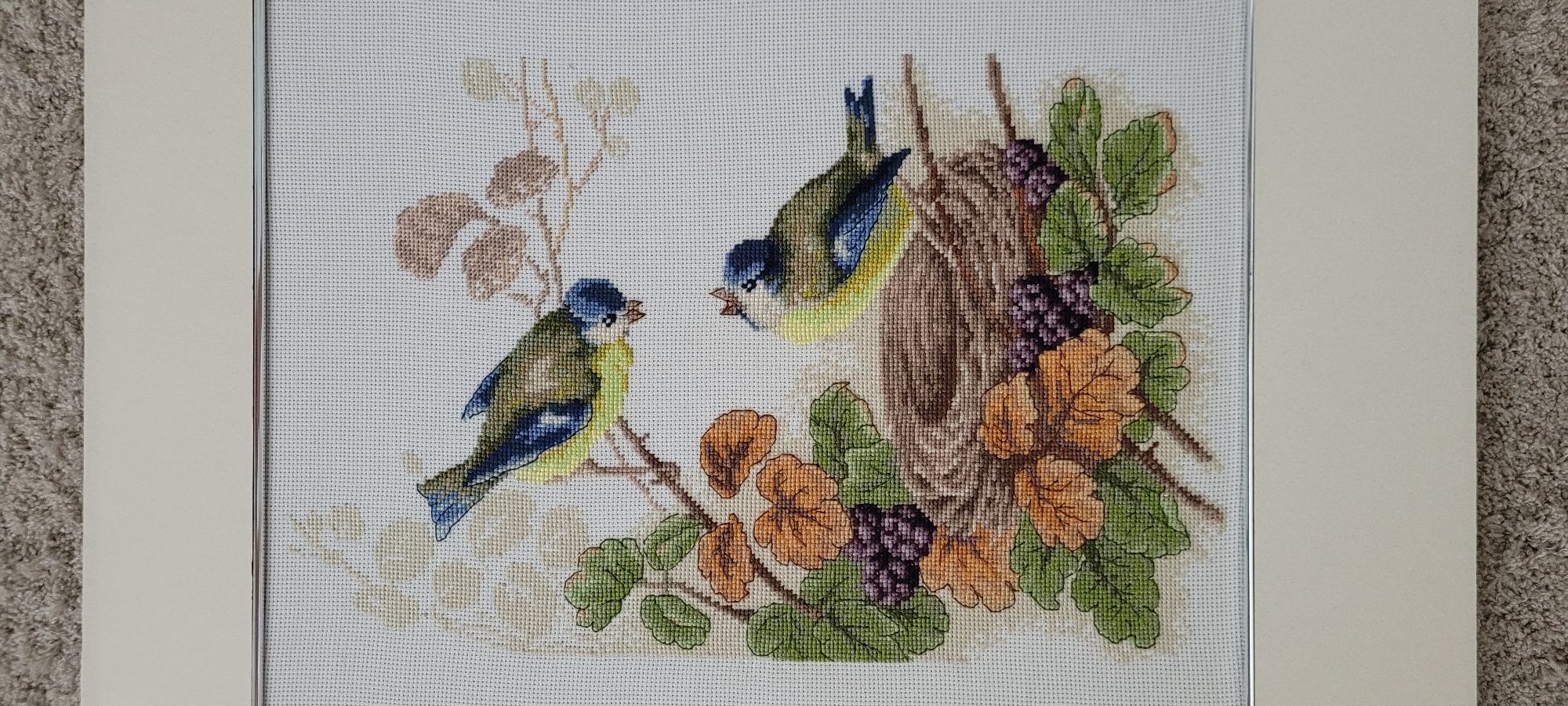 The image is a framed cross-stitch of two small birds in a nest. The birds are blue and yellow with dark markings on their wings and heads. One bird is perched above the nest and appears to be feeding the other bird, which is in the nest. The nest is made of twigs and is surrounded by green leaves and clusters of purple berries. The background is a pale, textured fabric. The frame is silver, and the matting is a light cream color. The image is taken from a slightly elevated angle, with the bottom of the frame visible and resting on a textured grey carpet. There are no people or any other contextual elements in the image that would suggest a location within the city of Riga, Latvia.