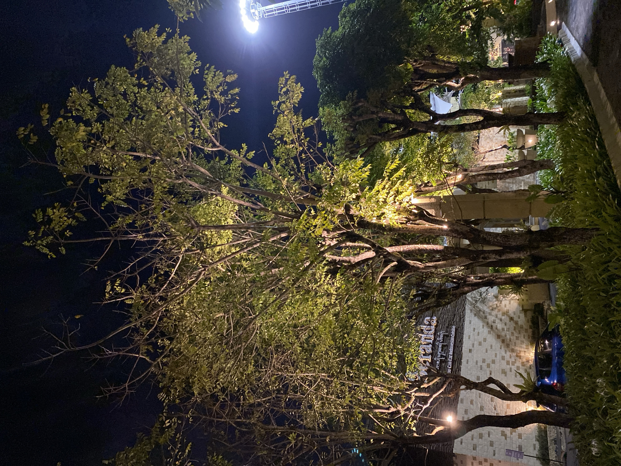 This media file captures an outdoor scene at night, likely in Kuta Selatan, Indonesia. The primary subjects are a row of trees with dense foliage illuminated by artificial lights, casting dappled shadows on a patterned brick building in the background. A bright light source, possibly a streetlamp or stage lighting, is visible in the upper portion of the image against a dark night sky.
The scene appears to be in a well-lit area, suggesting it's a public space, perhaps a restaurant or entertainment venue. The trees are a prominent feature, their branches extending across the frame, creating a natural canopy. The building behind them has a textured facade with a tiled or brick pattern. To the right, a dense hedge of green foliage lines a pathway or walkway, contrasting with the textured building. A small blue car is partially visible parked near the building.
The time of day is clearly night, indicated by the dark sky and the artificial lighting. There are no visible people, and the activity taking place is not evident beyond the general ambiance of a lit outdoor space at night.
A notable detail is the text visible on the building, though it is partially obscured by the trees and the orientation of the image. The visible text appears to be in a script that includes some English characters and possibly local script, with phrases like "Pu Can Eat Indonesian Cuisine" being discernible. The overall mood is serene, with the lighting creating a warm and inviting atmosphere.