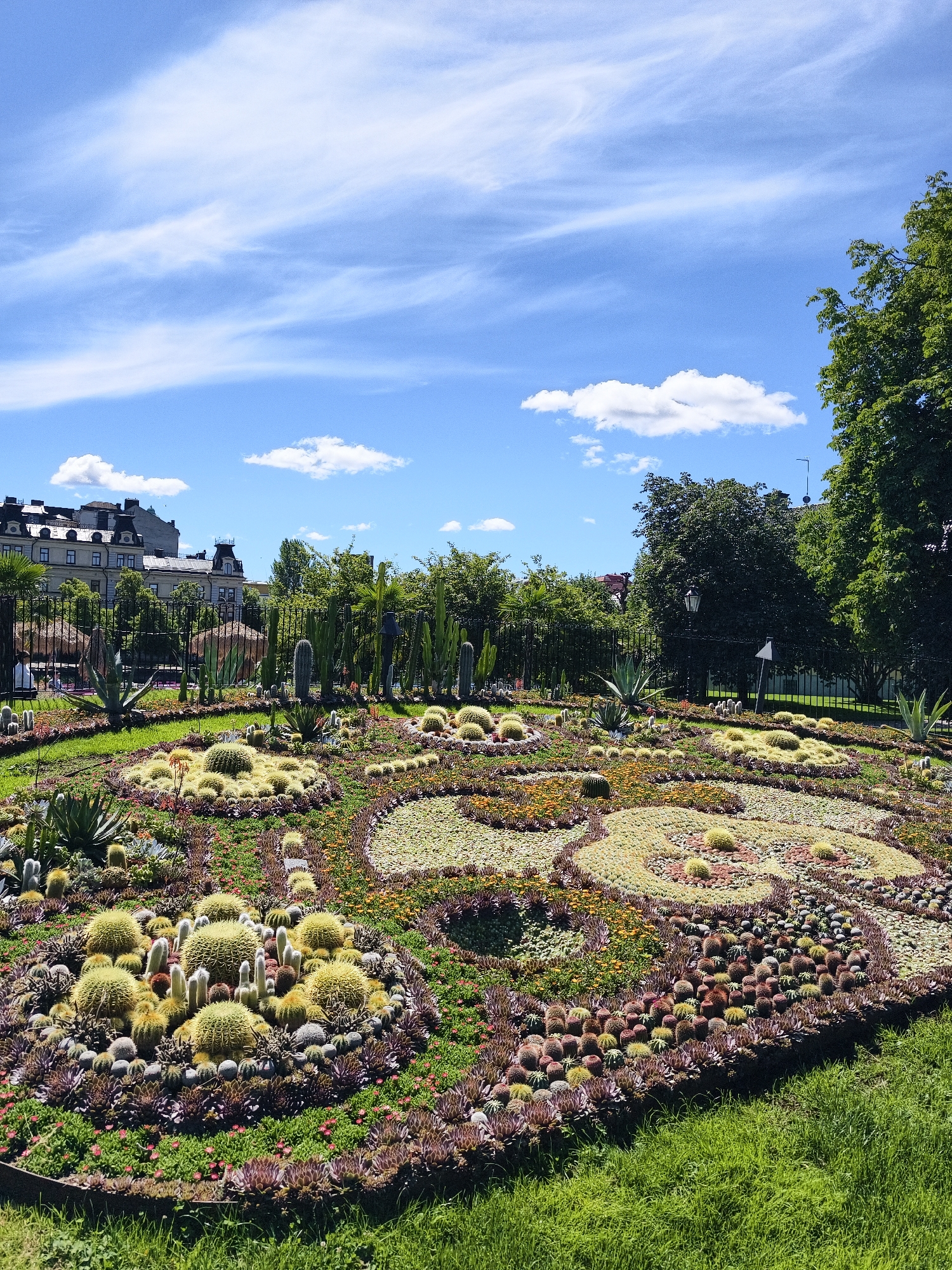 The image shows a meticulously arranged botanical garden featuring a diverse collection of succulents and cacti, with a focus on creating circular and swirling patterns. The plants are densely packed and varied in size, shape, and color, ranging from light green and yellow globular cacti to reddish-purple succulents arranged in rosette patterns. The garden is bordered by a low metal edge and surrounded by vibrant green grass. In the background, a black metal fence separates the garden from a treeline and buildings. The buildings appear to be European in style, with mansard roofs and multiple windows. Tall, leafy trees form a backdrop to the garden, some with dark green foliage. The sky is a bright blue, with scattered white, wispy clouds and a few larger, fluffier clouds. The lighting suggests it is a sunny day. The location is in the city of Norrköping, Sweden, within the botanical garden which is a part of the city. There are no visible people in the immediate foreground or mid-ground of the garden itself.