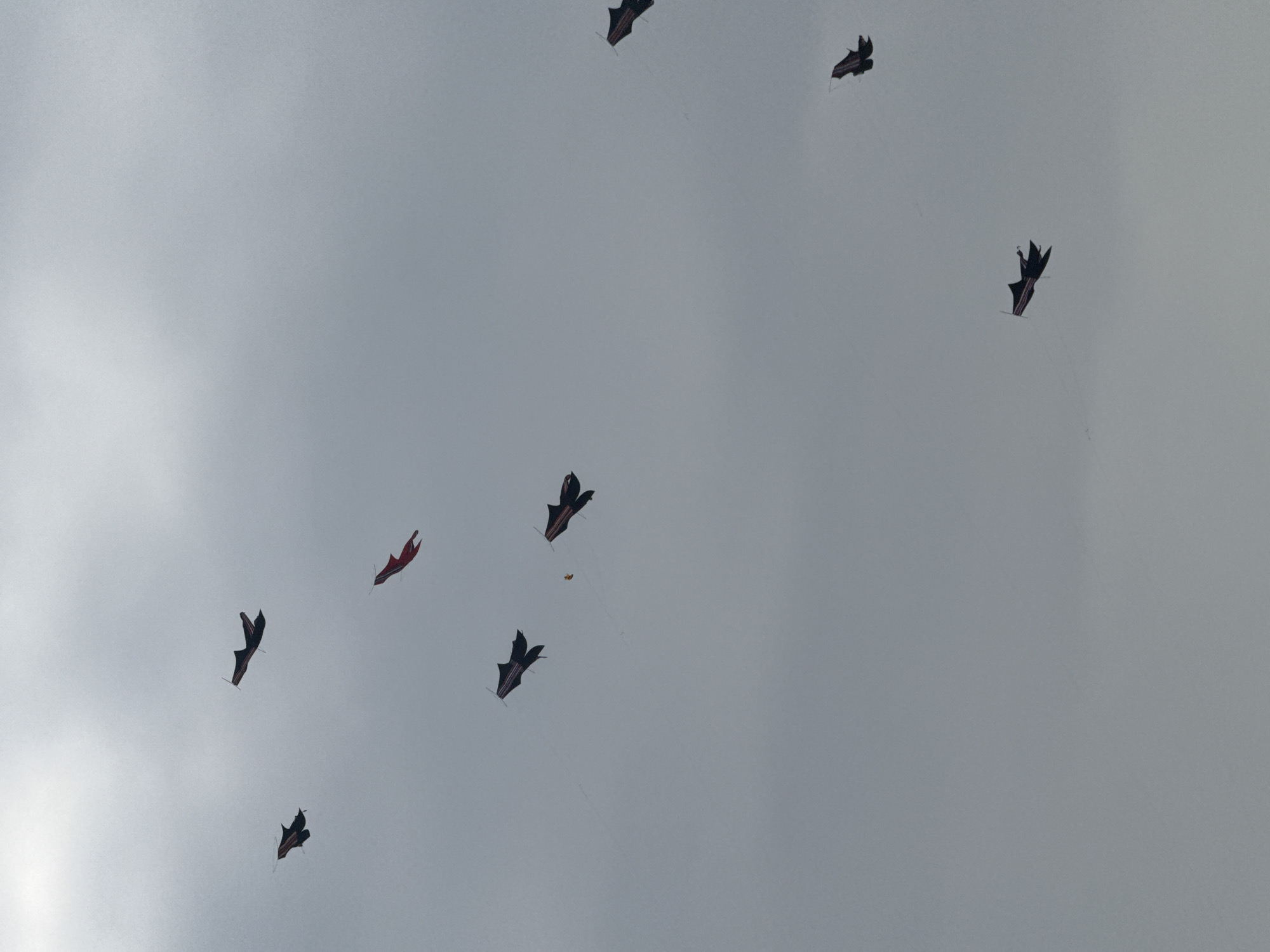In Denpasar, Indonesia, multiple kites are in flight against a hazy, overcast sky. The kites are predominantly dark in color with red accents and are shaped like stylized animals or mythical creatures. They are scattered across the frame, varying in size and distance from the viewer. One red kite is prominently displayed near the top center of the image. The overall impression is of a kite festival or a day with favorable winds for kite flying in a coastal or open area, given the presence of the city of Denpasar.