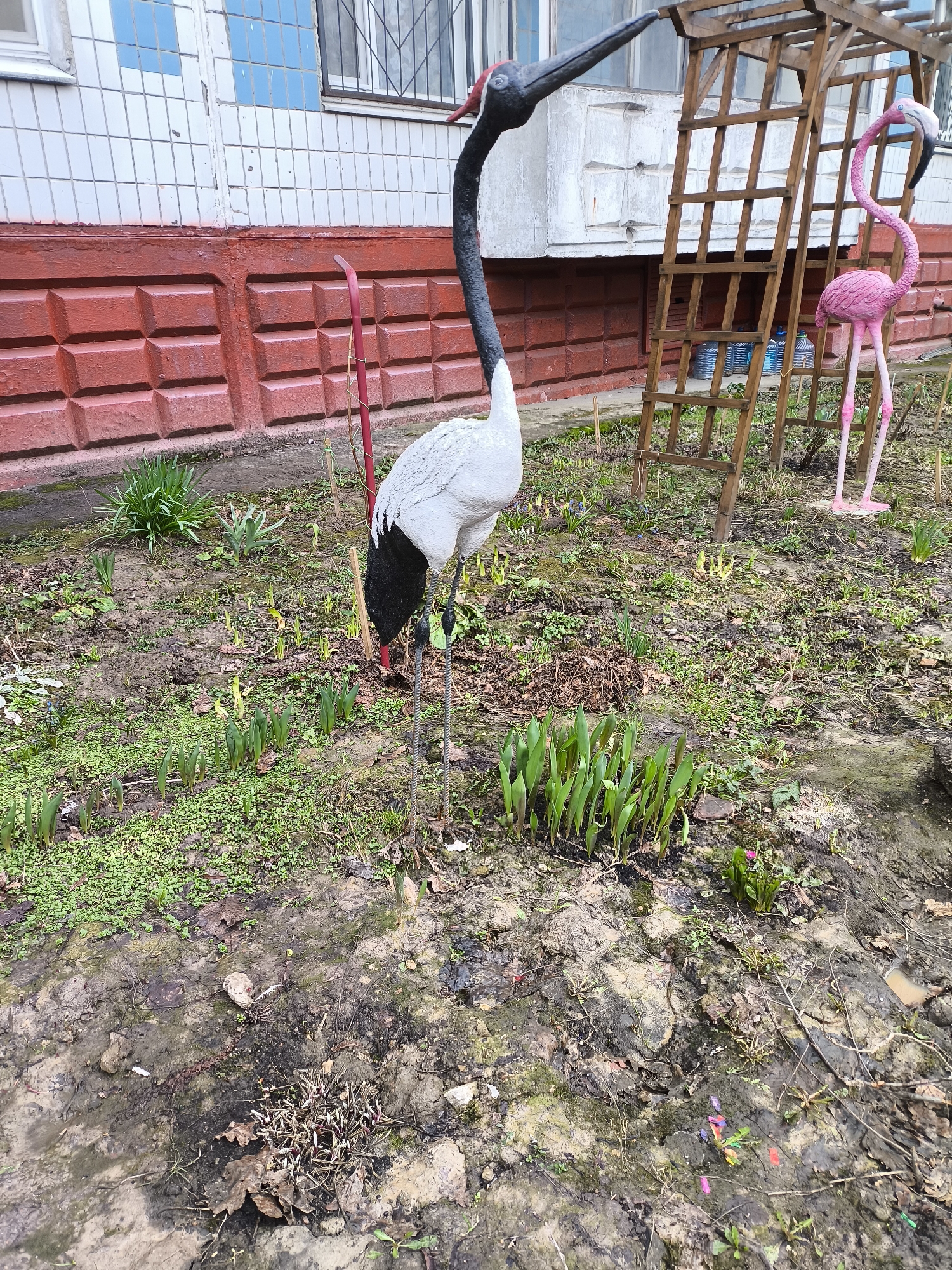 A medium shot shows a garden in Khimki, Russia. The garden has a variety of plant life growing in it, including several tulip sprouts. There is a white and black statue of a crane in the middle of the shot, and a pink flamingo statue in the background. A wooden lattice structure is situated behind the pink flamingo. The ground is muddy and littered with debris. A building with a red and white tiled wall can be seen in the background.