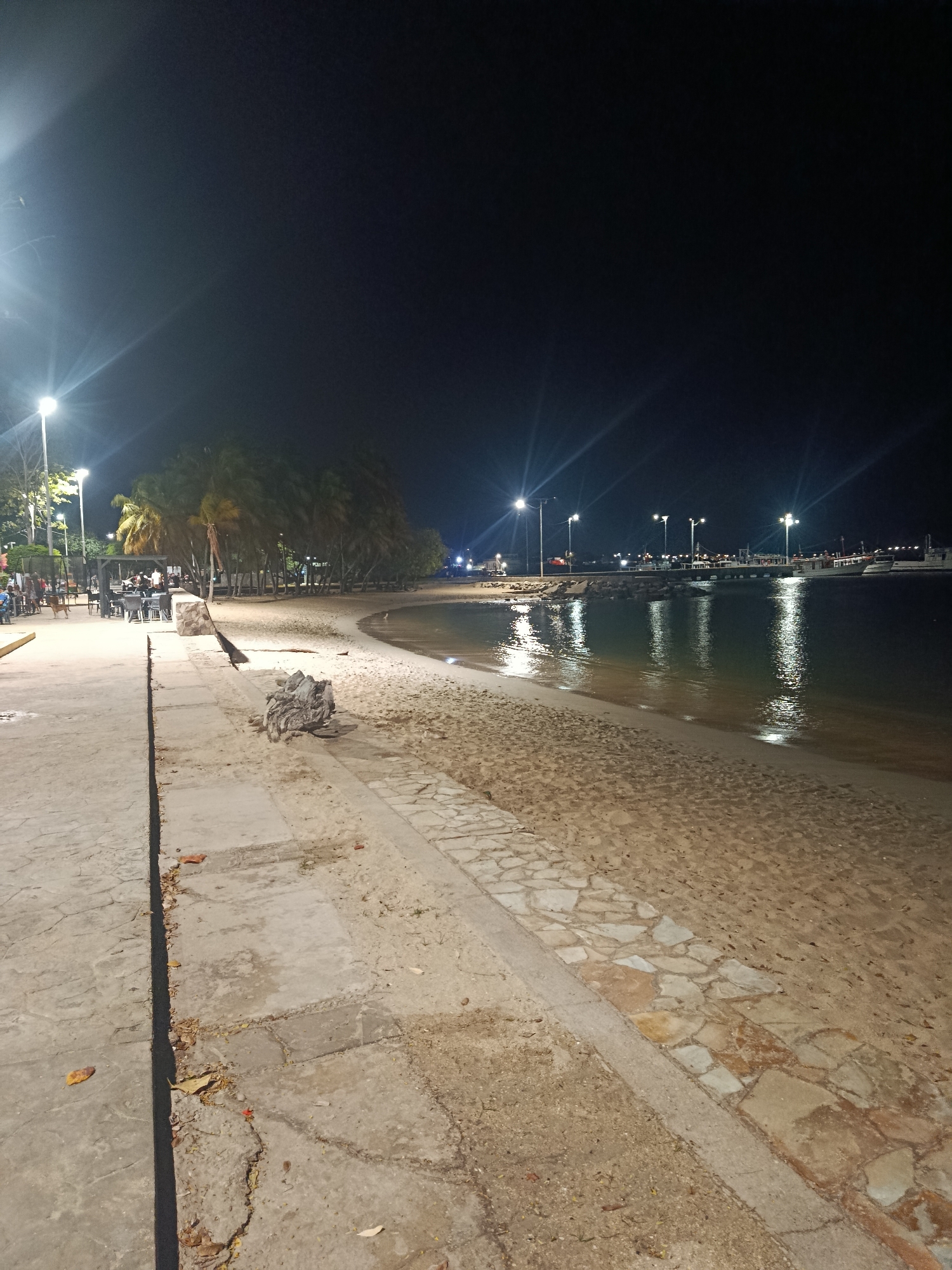 The image depicts the beach and waterfront area of Juan Griego, Venezuela, at night. The foreground shows a concrete and stone-paved walkway alongside a sandy beach. There's a driftwood piece on the beach near the walkway. In the midground, palm trees line the beach, illuminated by streetlights. A group of people are gathered at tables under a covered structure in the distance. In the background, a pier extends into the water, lined with more streetlights and boats. The water reflects the lights, and the sky is dark.
