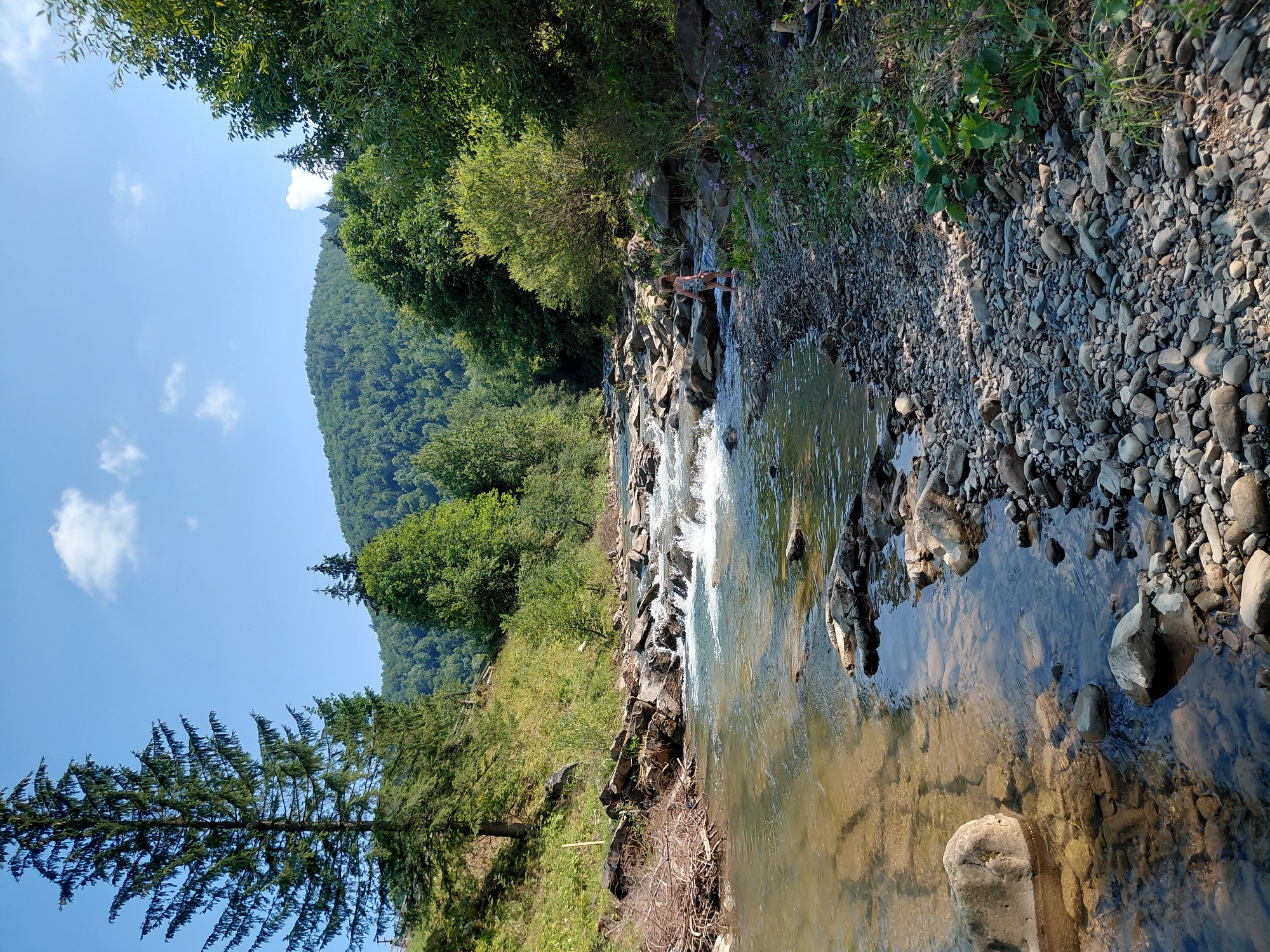 A small child wearing a patterned swimsuit stands near the edge of a shallow, rocky river in a lush, forested mountainous area. The child is facing away from the camera and looking into the water. The river has clear, flowing water with visible rocks on its bed and along its banks. The banks are covered with a mix of stones, pebbles, and green vegetation. In the background, a dense forest covers a hillside that leads up to a mountain peak under a clear blue sky with scattered white clouds. The scene appears to be a natural, outdoor setting, likely a rural or wilderness area, possibly near Chernyk, Ukraine, given the context.