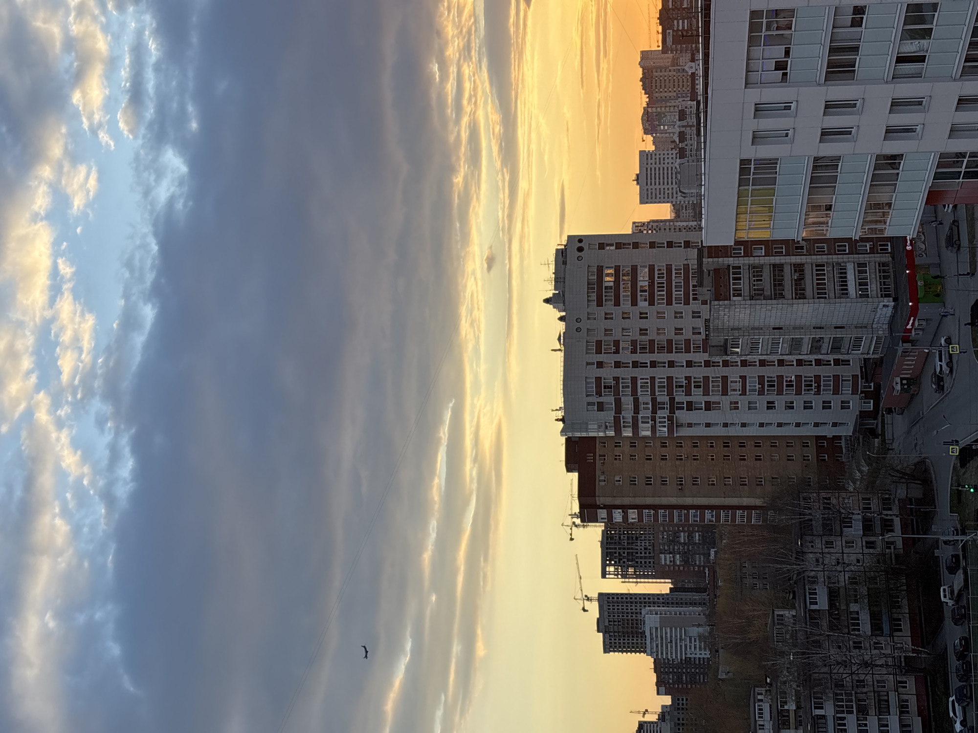 The image captures an urban skyline at either sunrise or sunset, with the horizon line spanning horizontally across the middle. The sky dominates the upper half, displaying a dramatic transition from deep, cloudy grey-blue on the left to brilliant golden-yellow on the right, where the low sun illuminates the clouds. Patches of lighter blue sky are visible amidst the cloud formations. A thin wire stretches across the sky, and a small, dark bird is seen in flight.
The lower half of the image presents a dense cityscape, consistent with Perm, Russia, as per the provided context. Numerous multi-story residential and commercial buildings fill the frame, showcasing a mix of architectural styles from modern structures with light facades and extensive windows to older buildings with brick-red or muted exteriors. Construction cranes are visible in the distance, indicating ongoing development. At ground level, streets are visible with parked and moving cars. Bare deciduous trees are scattered among the buildings, suggesting a colder season. On one building facade, a red sign with white, indistinct text is visible, possibly belonging to a commercial establishment such as a supermarket like "Пятерочка." A green traffic light is also discernible near the street. The overall impression is an active city bathed in the dramatic light of dusk or dawn.