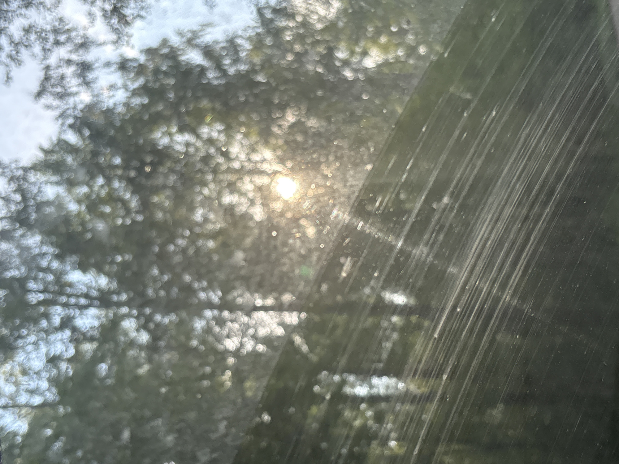 The image presents an outdoor scene observed through a transparent surface in the city of Rezvykh, Russia. The foreground is dominated by numerous parallel, diagonal striations, likely scratches or streaks, running from the upper left to the lower right across the majority of the frame, with scattered specks visible on the surface. Beyond this, the background consists of heavily blurred, out-of-focus foliage, consistent with trees, rendered as a pattern of indistinct green and grey bokeh circles. A prominent, intense circular sunburst, emitting discernible rays, is positioned slightly left of the image's center, indicating direct sunlight. Sections of a blurred, pale blue-grey sky are visible in the upper portions of the background. No individuals, animals, or specific man-made objects are identifiable within the natural environment.