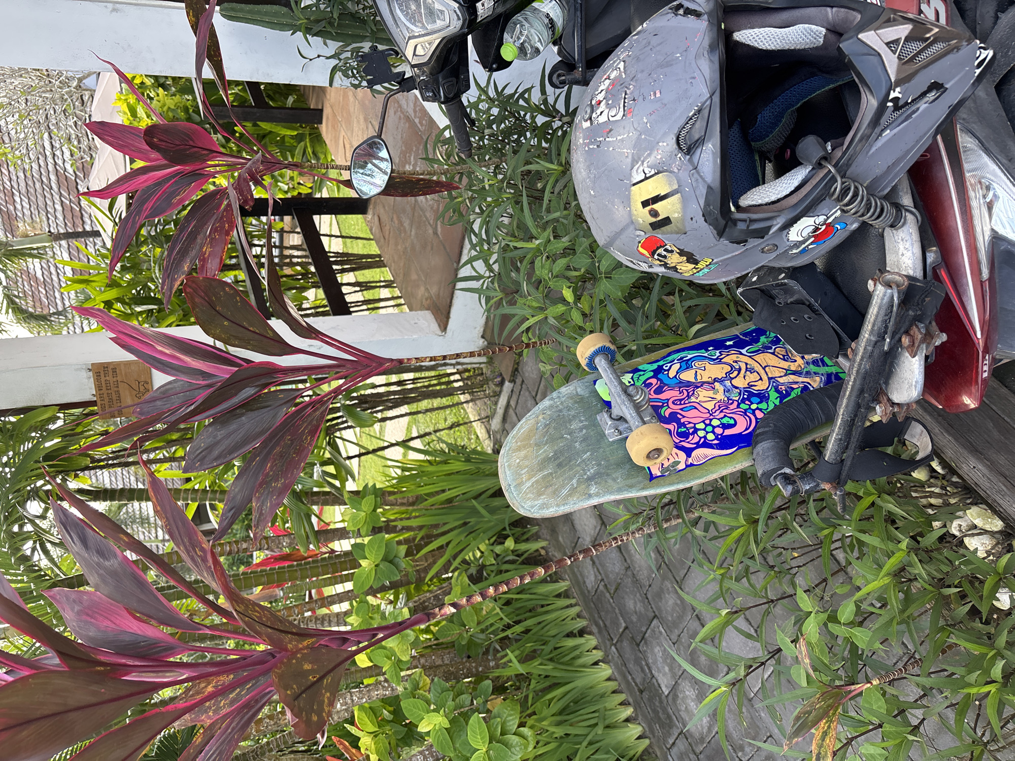 A skateboard, helmet, and motorcycle are situated amidst lush vegetation in Kuta Selatan, Indonesia. The skateboard, resting partially on the motorcycle, has a blue and yellow graphic design. A gray helmet, adorned with stickers, sits atop the motorcycle. The motorcycle itself is partially visible, with its front wheel and headlight in view. The vegetation consists of various plants and grasses, obscuring a brick pathway. The atmosphere is typical of a tropical region, with ample foliage and bright sunlight.