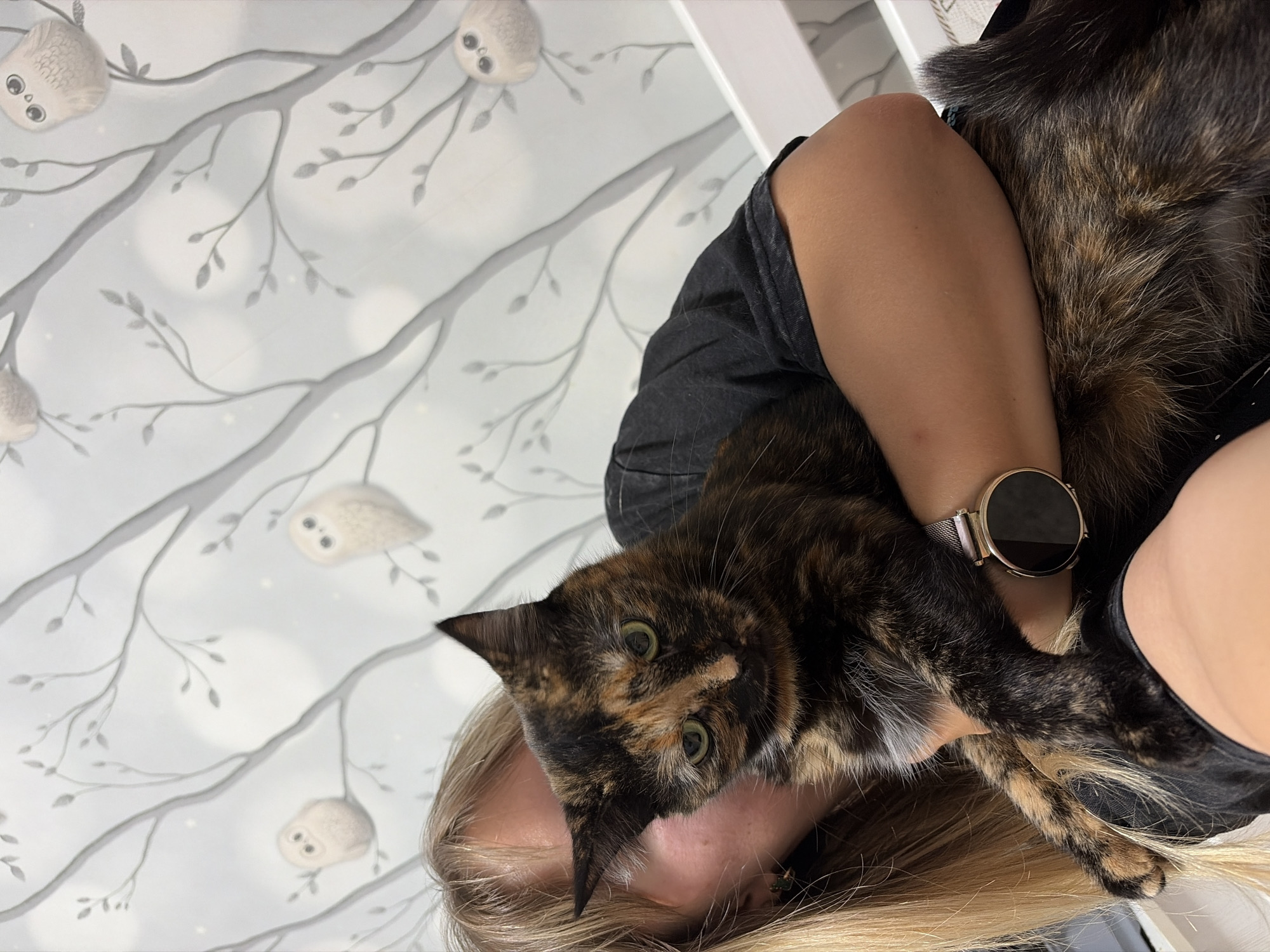 In Chaikovsky, Russia, a person with blonde hair is holding a tortoiseshell cat. The person is wearing a dark gray t-shirt and a smartwatch with a metallic band on their left wrist. The cat is looking towards the camera with green eyes. The background features wallpaper with a whimsical design of stylized trees and cartoonish white owls. The lighting suggests an indoor setting.