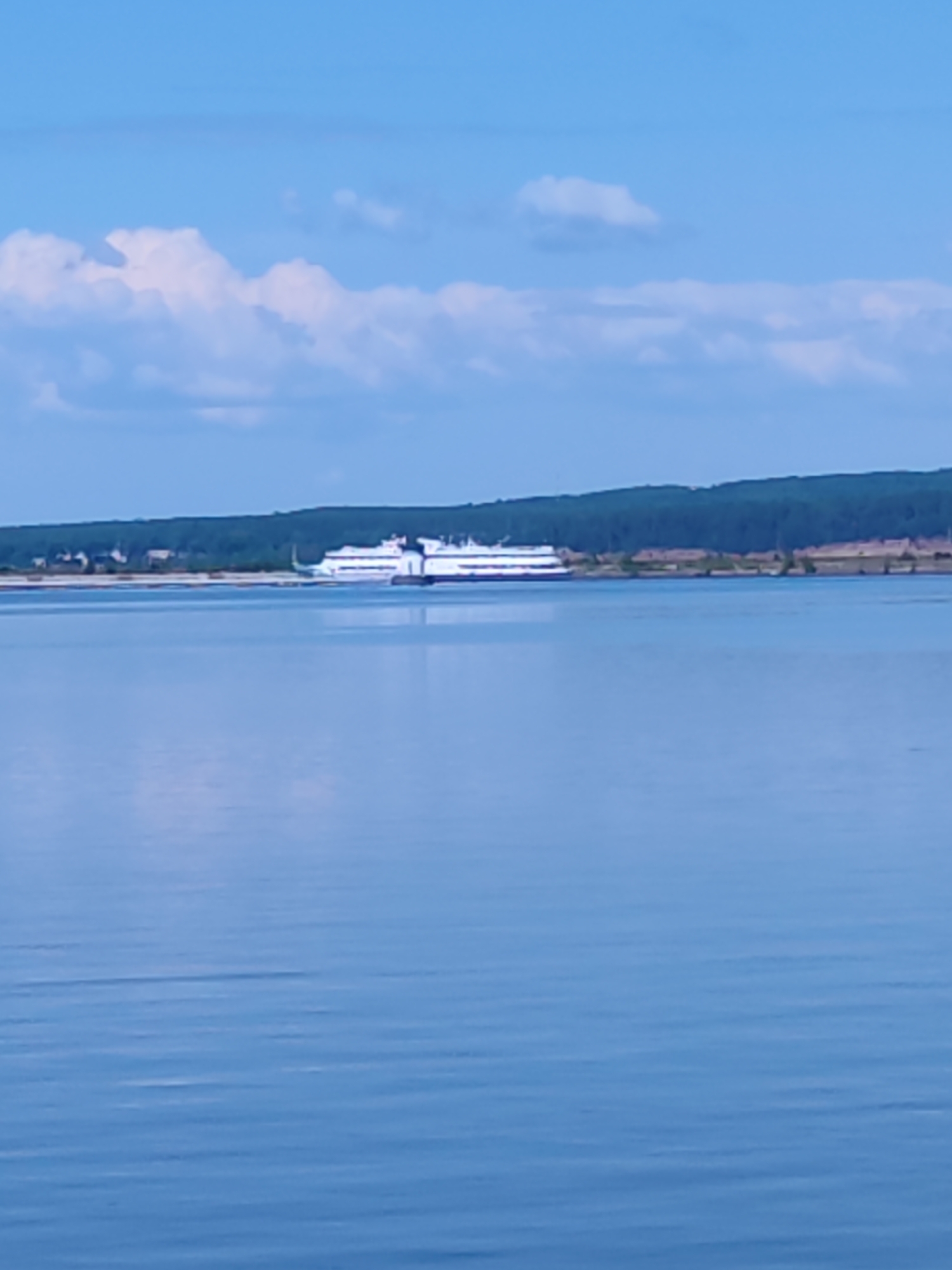 A wide shot captures a large, white ferry boat sailing on calm, blue water. The ferry has multiple decks and appears to be moving from left to right across the frame. In the background, a dense green forest lines the distant shore, with some scattered buildings visible on the left side of the image. Above the forest, a strip of light brown land is visible. The sky is a clear blue with a few scattered white clouds. The image appears to be taken from a distance, possibly from another boat or the shore. The scene is located on the Kama River in the city of Chaikovsky, Russia.