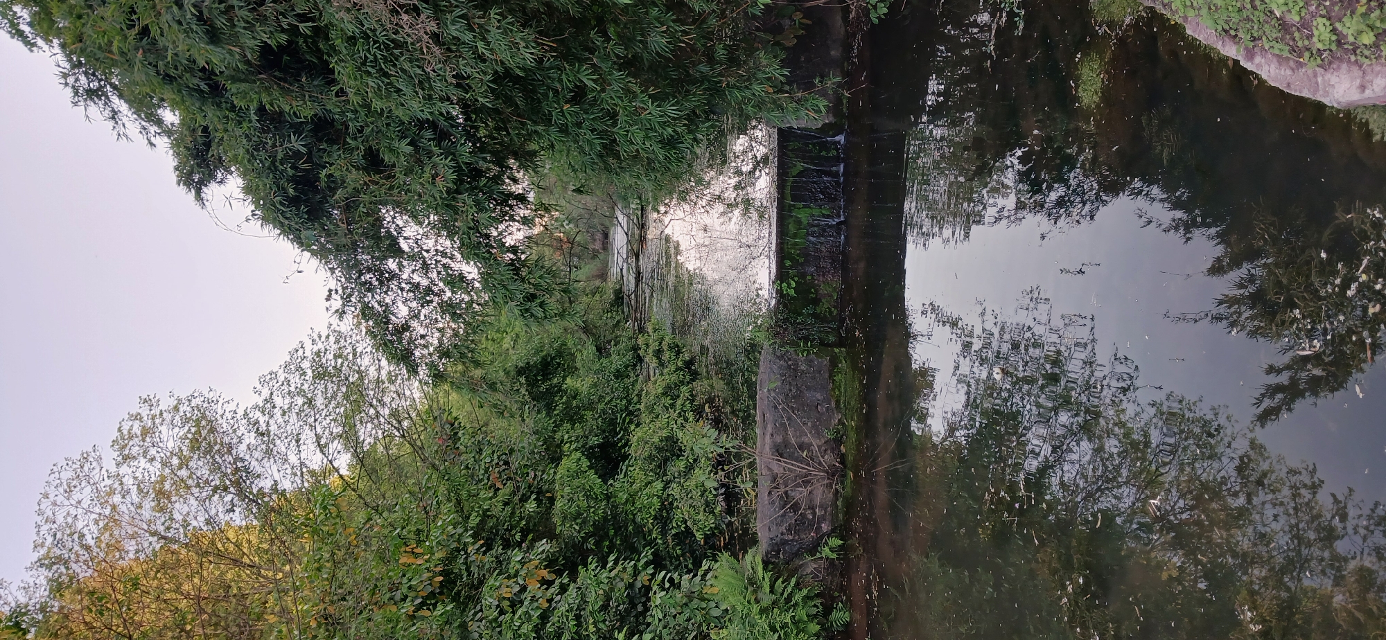 A straight-on, medium-distance shot depicts a concrete canal in Chongqing High-tech Zone, China. The canal is lined with dense green vegetation along both sides, and the water is murky. Reflections of the vegetation can be seen in the water. A small dam-like structure is visible in the center of the frame, with water flowing over it. The sky is overcast. No people are visible.
