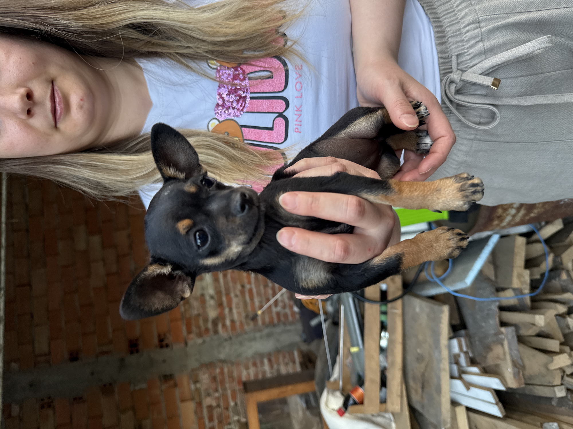 A blonde-haired woman wearing a white t-shirt with the words "Pink Love" is holding a small, black and tan puppy in her hands. The background includes a brick wall, a pile of wood, and other indistinct objects. The image was taken in Sarnevo, Bulgaria.