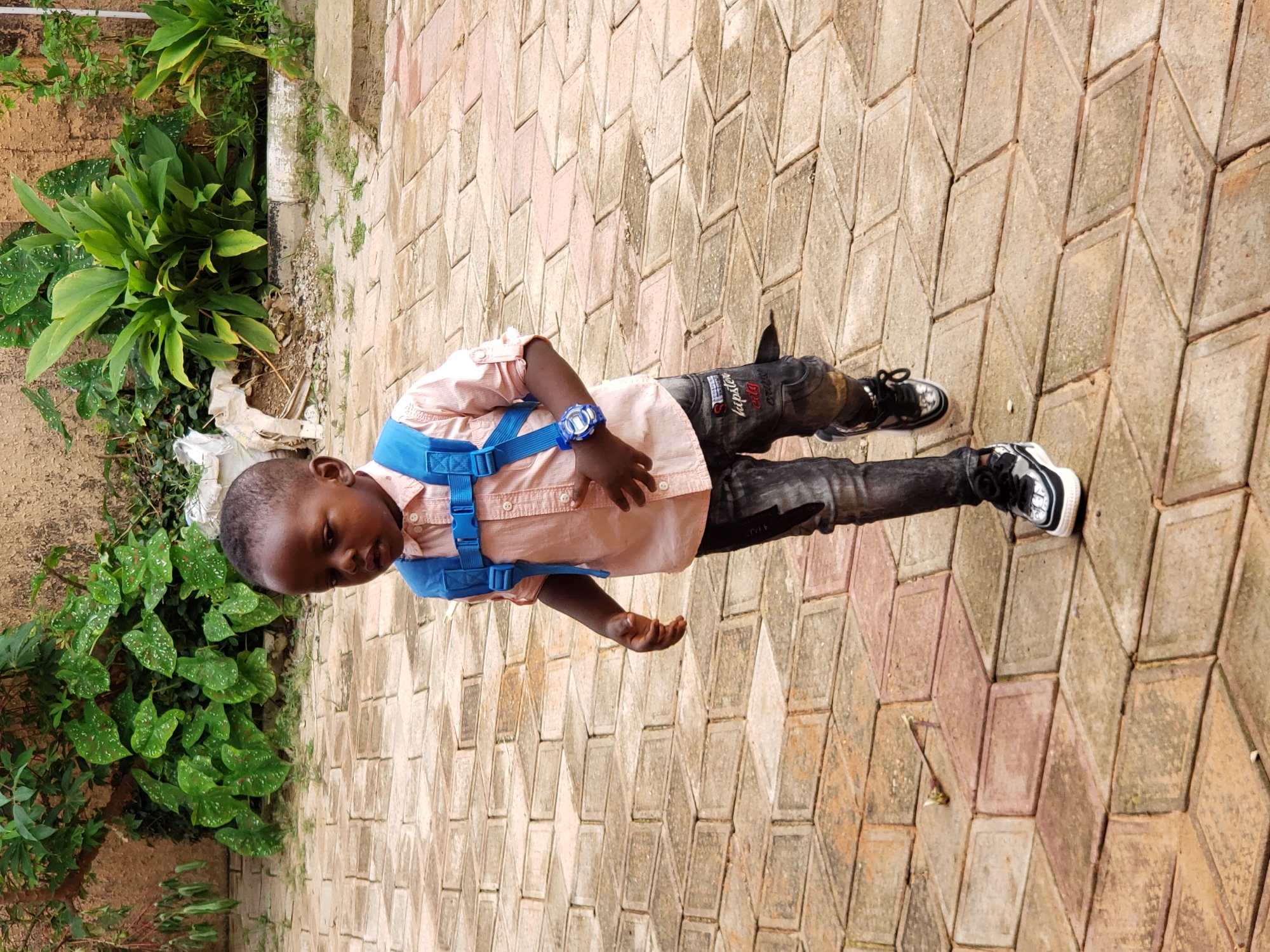 A young Black boy wearing a peach collared shirt, dark jeans, and sneakers with a blue backpack is walking on a cobblestone path in Sabon Tasha, Nigeria. The boy is looking down and to his left, with his right arm extended forward. He is wearing a blue digital watch on his left wrist. In the background, there are lush green plants and a textured wall. The cobblestone path is made of interlocking diamond-shaped stones and appears damp. The lighting suggests it is daytime.