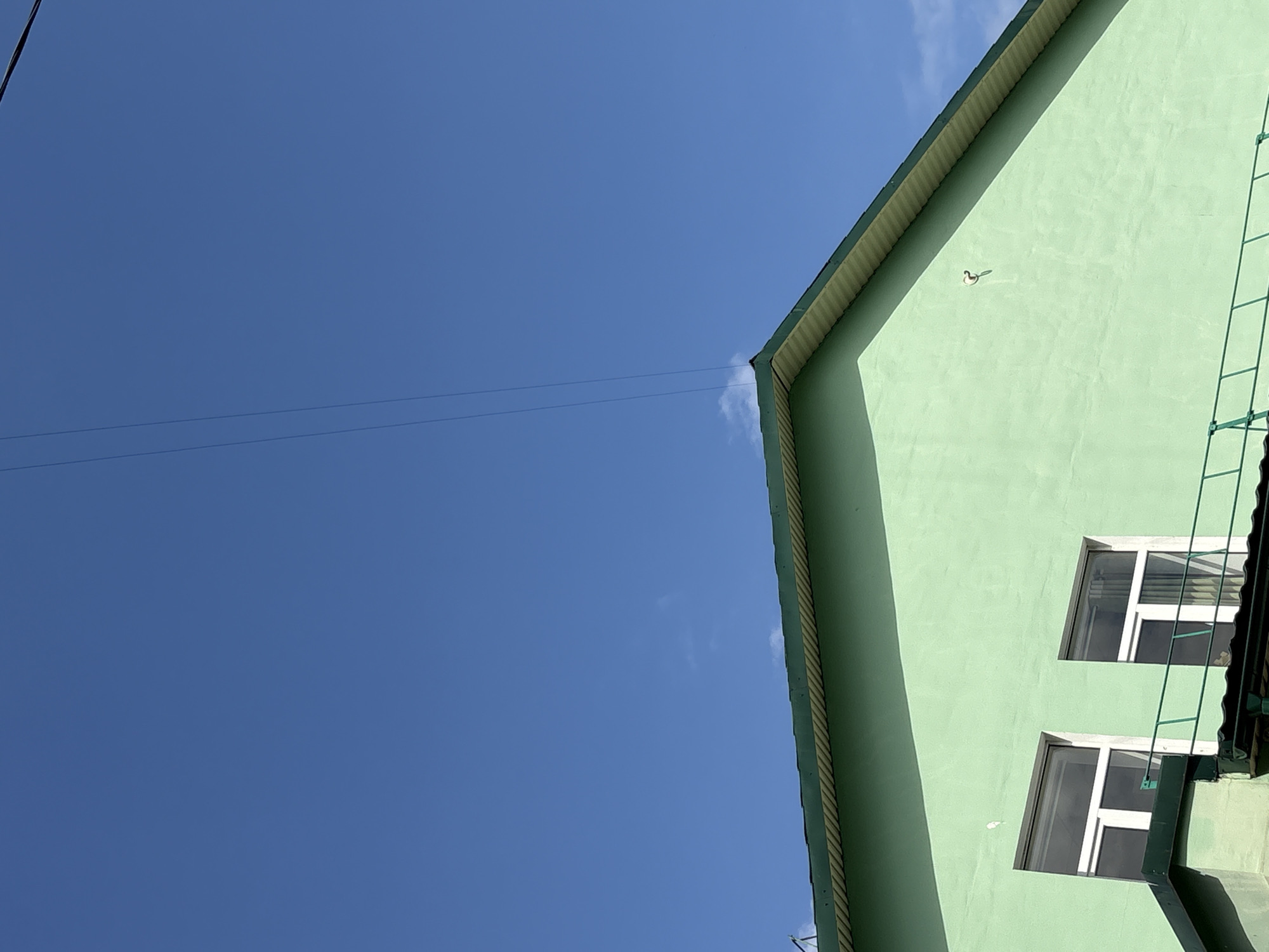 An outdoor, low-angle photograph captures the upper corner of a light green building against a vast, clear blue sky. The building, possibly a residential or urban structure, occupies the right side of the frame, angled diagonally. Its main wall is a pale, muted green, and a distinct shadow runs diagonally across its upper portion, suggesting bright sunlight.
Two rectangular windows with white frames are visible on the green wall, positioned one above the other in the lower right section of the building. A green metal ladder is affixed vertically to the building's exterior, extending downwards from the roof area. High up on the green wall, near the roofline, a small, white, duck-shaped decorative object with a dark outline is noticeable. The eaves feature a darker, possibly corrugated, green material.
The left and upper-left portions of the image are dominated by the cloudless, vibrant blue sky, indicating a clear and sunny day. Two thin, dark power lines stretch horizontally across the upper left quadrant of the sky. A tiny, wispy white cloud is faintly visible near the building's edge in the upper middle of the frame. There are no people or discernible activities taking place. No visible text is present within the image. The time of day appears to be daytime.