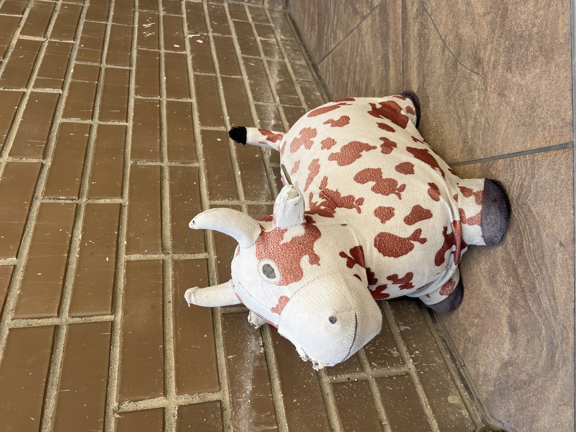 The image shows a plush toy cow lying on a tiled floor. The cow is white with brown spots and has a black tail. The floor is made of brown rectangular tiles with grey grout. The cow is positioned on its side, with its head facing left. The background shows a wall made of larger, textured tiles. The lighting appears to be indoor, with no indication of natural light. The scene is static, with no activity taking place. There is no visible text in the image.