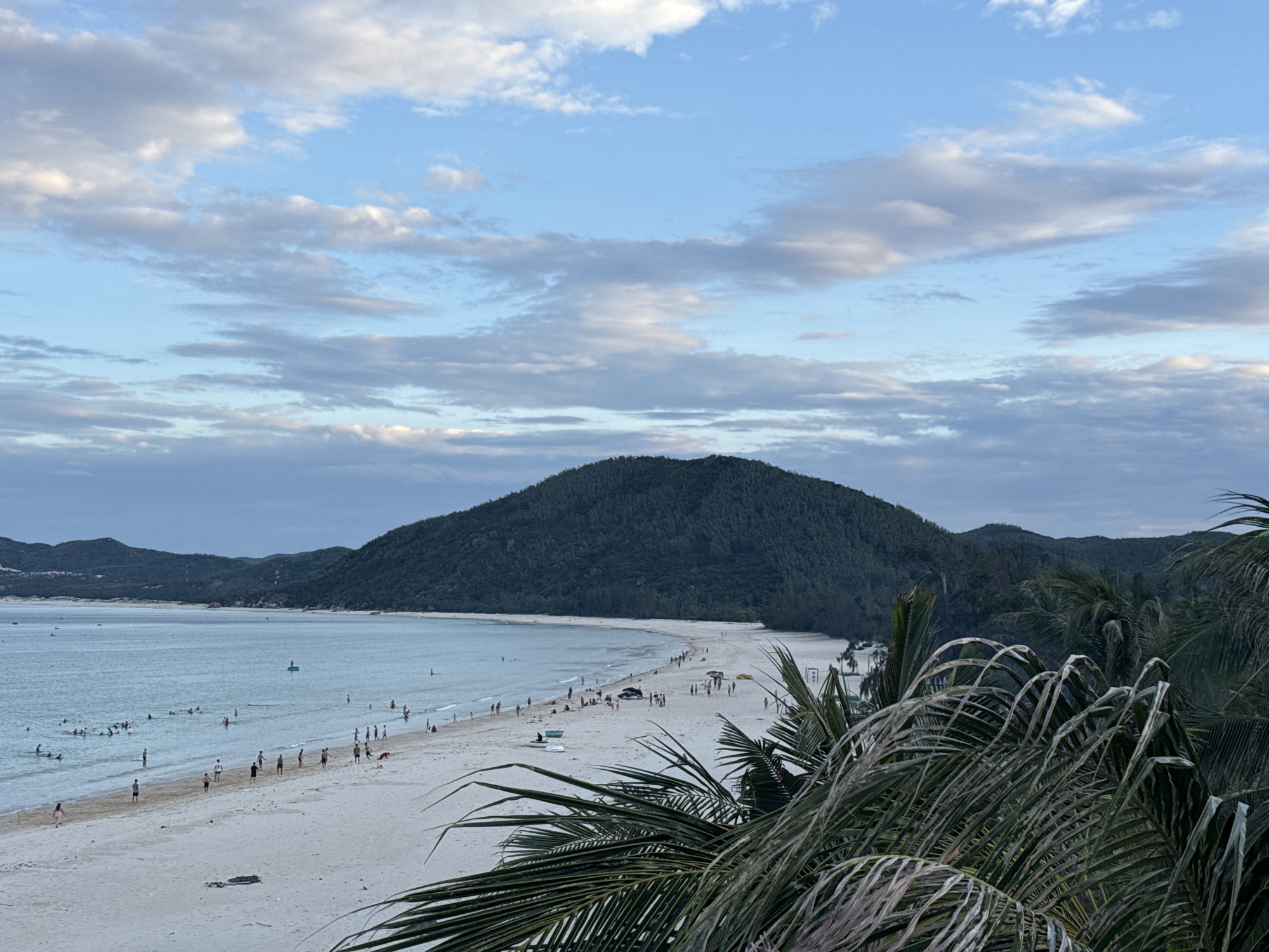 The image depicts a panoramic view of a tropical beach, likely located in Song Cau, Vietnam, with a large, verdant hill dominating the background. The foreground is partially obscured by lush, green palm fronds, suggesting a viewpoint from a shaded area or elevated position overlooking the scene.
The beach itself is wide and sandy, with a gentle slope leading to the clear, turquoise water of the sea. Numerous people are scattered across the beach and in the shallow water. Some individuals are walking along the shore, while others appear to be swimming or wading. Several people are also seen engaged in water activities, possibly surfing or playing in the waves. Small boats are dotted in the water near the shore.
The sea is calm, with gentle waves lapping against the sandy coastline. The sky above is a soft blue, interspersed with scattered white and grey clouds, indicating either early morning or late afternoon light. The overall impression is one of a serene and popular coastal resort or recreational area. The dark, densely forested hill behind the beach adds a dramatic natural element to the landscape.