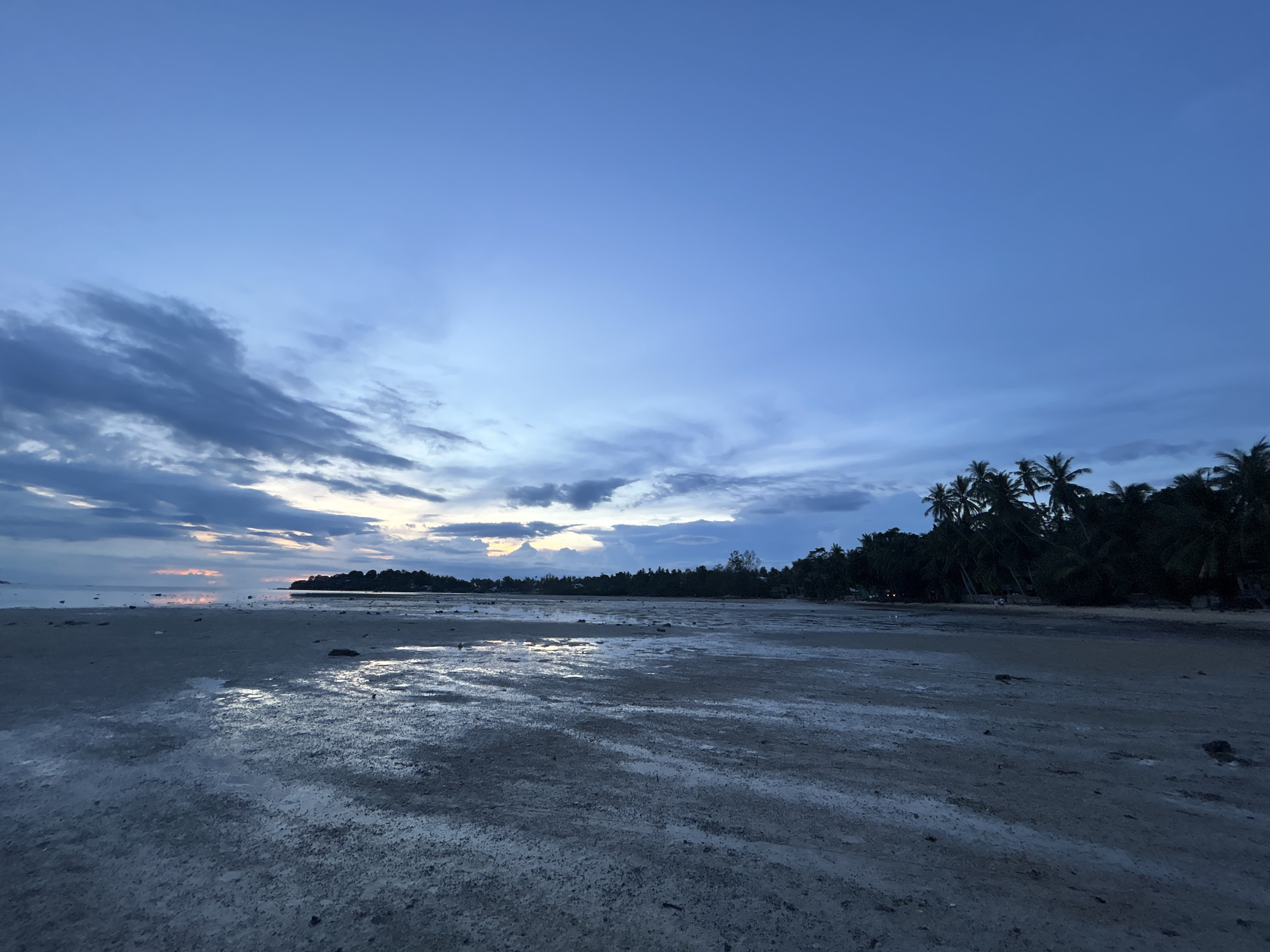 The image depicts a beach scene at twilight in Tambon Koh Phangan, Thailand. The sky is a deep blue, with scattered clouds, some of which are illuminated by the setting sun in hues of pink and orange on the horizon. The foreground is a wet, sandy beach with pools of shallow water reflecting the sky and clouds. Further back, a line of palm trees and dense vegetation forms a dark silhouette against the lighter sky. In the distance, a small island or peninsula juts out into the sea. There are no visible people or specific objects of interest in the scene, besides the natural elements of the beach, water, and sky.