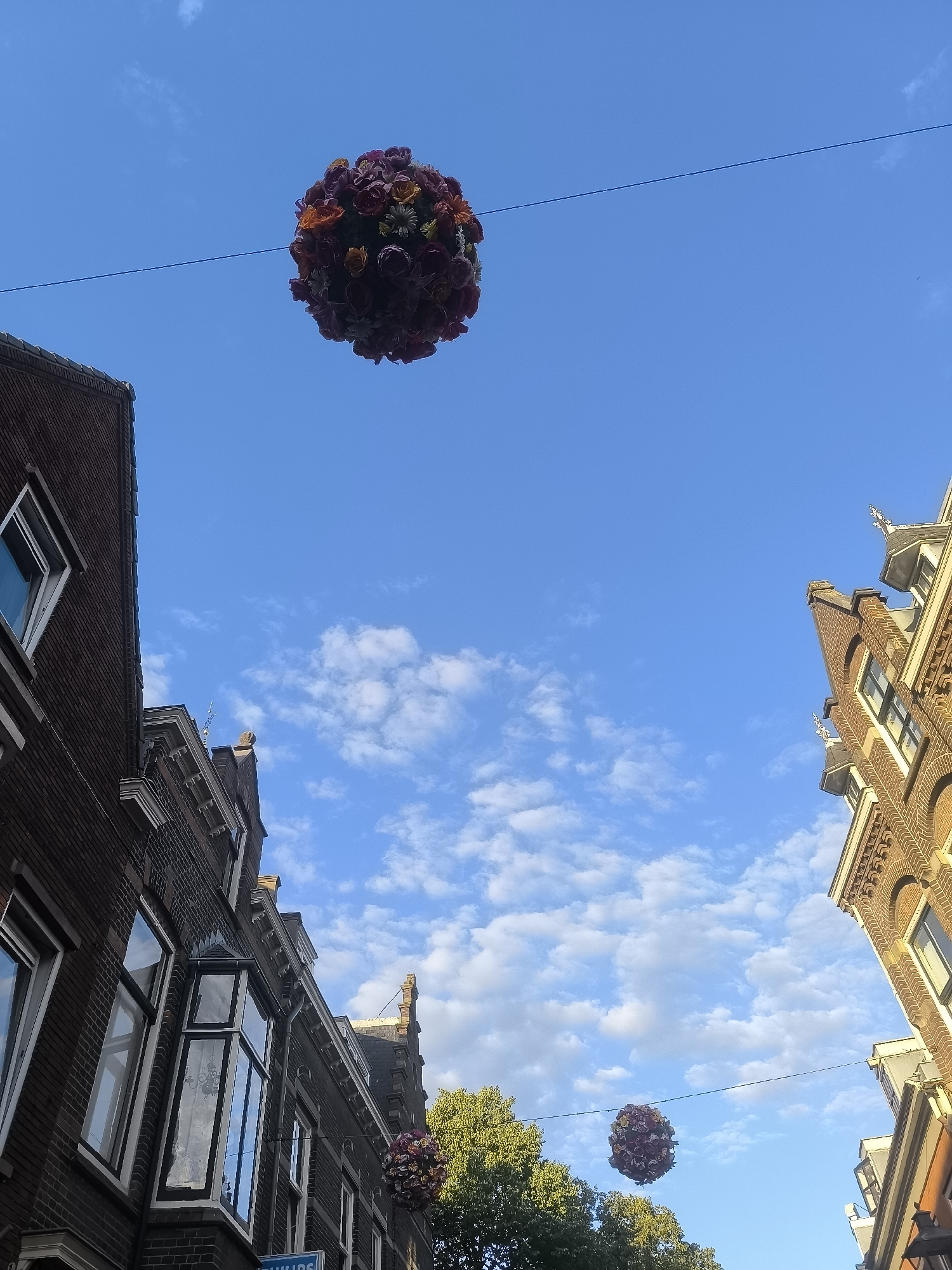 In the city of Rijswijk, Netherlands, two floral arrangements, shaped like spheres and composed of numerous small, colorful flowers in shades of deep red, purple, and orange, are suspended in the air by thin wires stretched between buildings. One arrangement is positioned higher and more to the left of the frame, while the other is located lower and to the right.
The scene is framed by the facades of two traditional brick buildings. The building on the left is dark red brick, with several windows visible, one of which features a bay window with multiple panes. The building on the right is made of lighter, orange-toned brick and exhibits architectural details such as decorative cornices and pitched roofs with dormer windows.
The sky above is a clear, bright blue, interspersed with scattered white clouds that appear wispy and thin. Lush green trees are visible in the lower right portion of the image, peeking out from behind the buildings. The overall impression is of a street scene decorated for an event or season, with the floral spheres adding a festive and whimsical element against the backdrop of the historic architecture and clear sky. There are no people or animals present in the image.