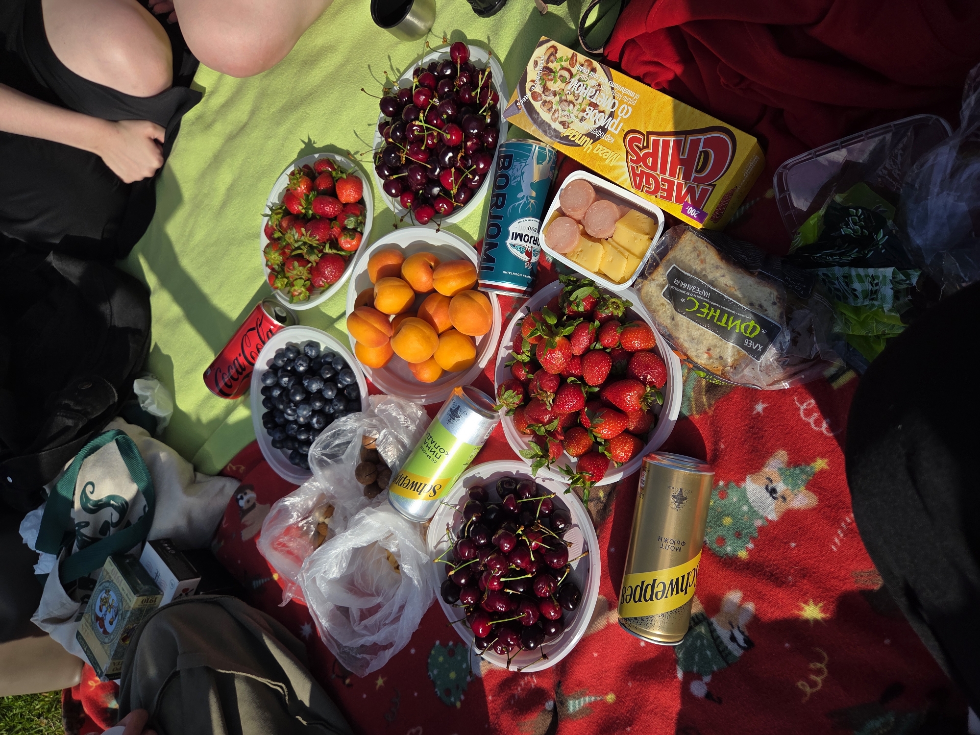 The image shows a picnic scene. A green blanket lies adjacent to a red blanket patterned with dog illustrations wearing Christmas attire. The picnic includes bowls of strawberries, cherries, blueberries, and apricots. Other food items are packaged Mega Chips, cheese, sliced sausage, and bread. Several cans of beverages are visible: Coca-Cola, Borjomi, and Schweppes. The picture also shows portions of the people attending the picnic.