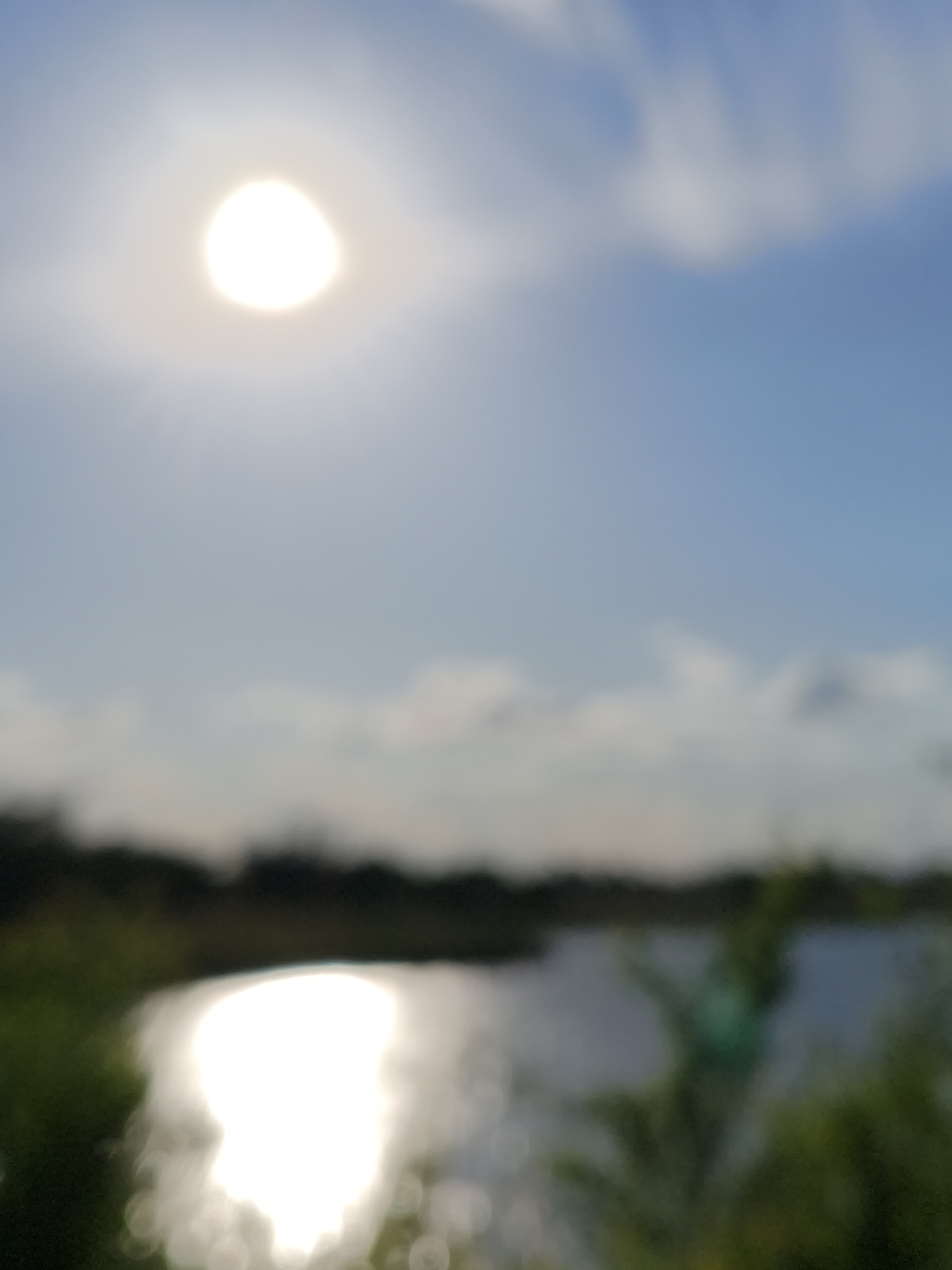The image depicts a blurry, sunlit scene of a body of water, likely a lake or river, in Shyroka Dacha, Ukraine. The sun is prominently visible in the upper left quadrant, appearing as a bright, hazy orb with a halo effect, indicating a partially cloudy sky with diffused sunlight. The water reflects a significant portion of the sunlight, creating a luminous patch on its surface. The foreground shows out-of-focus greenery, suggesting foliage or trees along the bank. The background is a blurred expanse of the horizon, with dark, indistinct shapes that could represent trees or structures. There are no people or animals visible in the frame. The overall impression is one of a tranquil, natural landscape bathed in the soft glow of the sun.