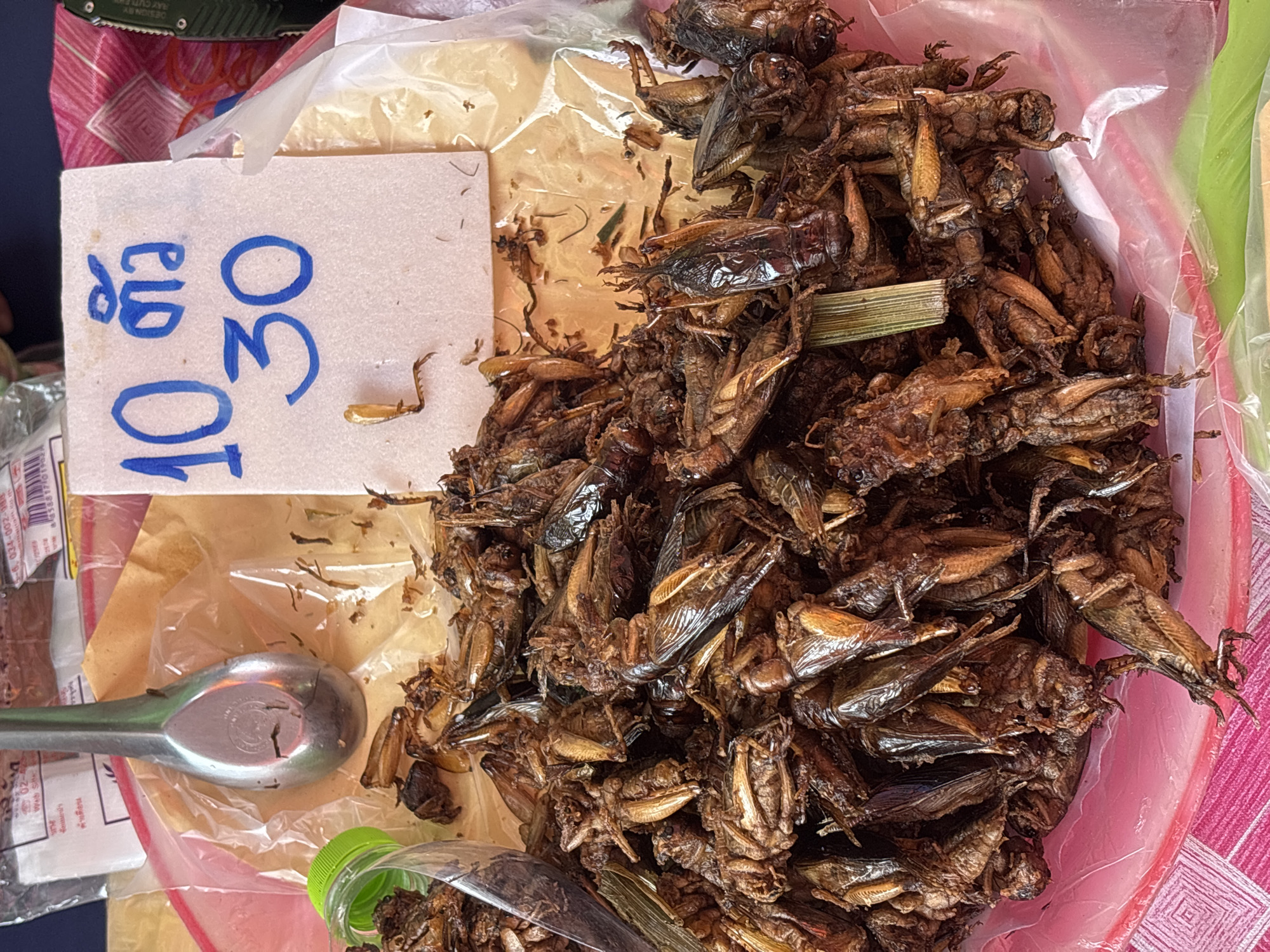 A top-down close-up view of a pink plastic bowl filled with a large quantity of fried insects, likely crickets, appears to be for sale. A white price tag with blue handwritten numbers "10" and "30" along with Thai characters is placed on top of the insects. Next to the bowl, a metal spoon is visible, resting on some transparent plastic packaging. The background shows more packaging materials, and the lower part of the image reveals a pink and white checkered patterned surface. The scene suggests a street food stall in Chiang Mai City Municipality, Thailand.