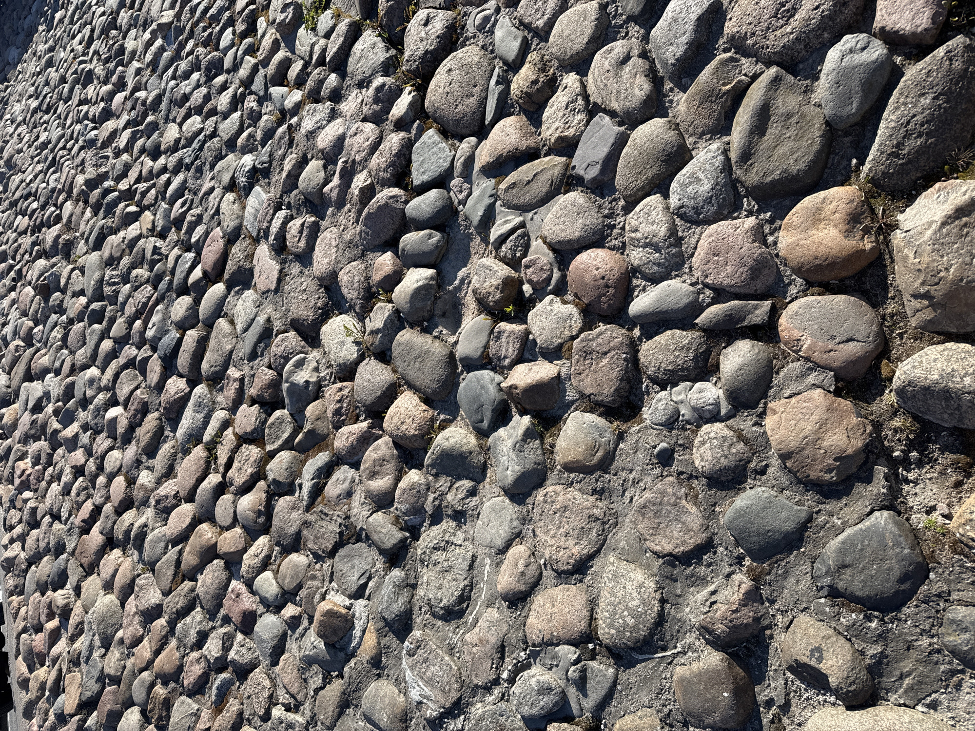 This media file presents a detailed, high-angle view of a cobblestone surface, likely a historical street or pathway. The primary subjects are numerous rounded and irregularly shaped stones, tightly packed and embedded in a dark, earthy mortar or cement.
The cobblestones display a diverse palette of natural colors, ranging from various shades of gray and charcoal to warmer tones of brown, reddish-brown, and beige. Their sizes also vary considerably, from smaller, pebble-like stones to larger, hand-sized rocks, contributing to the uneven yet durable texture of the surface. Patches of sparse, green vegetation and moss are visible in the crevices and gaps between some stones, suggesting age and natural weathering.
The image captures the scene under bright, direct sunlight, evidenced by the distinct and relatively short shadows cast by each individual stone. This strong lighting accentuates the texture and three-dimensionality of the cobblestones, highlighting their contours and irregularities. The perspective looks down and along the path, creating a sense of depth as the pattern of stones recedes into the distance. There are no people or specific activities taking place; the image focuses solely on the ground's surface. No visible text is present. The general appearance of the cobblestones is consistent with historical urban infrastructure, such as those found in Saint Petersburg, Russia.