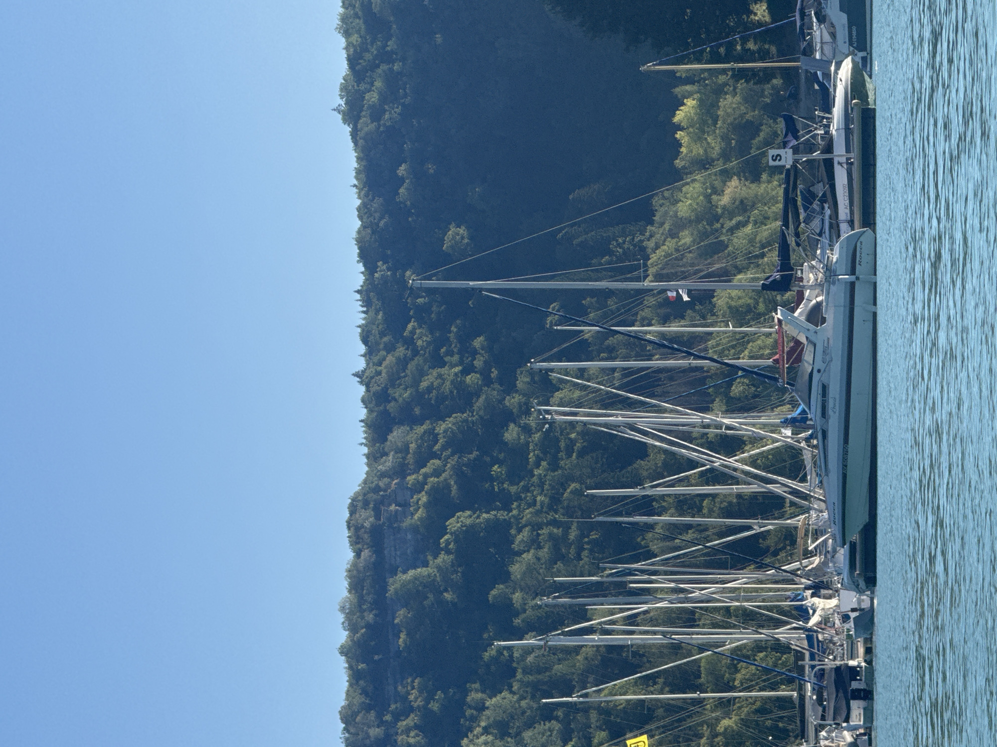 The image shows a clear blue sky over a densely forested hillside. In the foreground, a body of calm, turquoise water is visible, with several sailboats docked. The sailboats have tall masts and are lined up closely together. One prominent sailboat in the center foreground is light blue and gray, with the name "Rocca" visible on its side. Another sailboat to its right is dark blue, with the registration number "AJ E94680". The water reflects the masts and rigging of the boats. The scene appears to be a marina in the city of Maisod, France, likely during daylight hours given the bright sky and clear visibility. There are no people visible in the image.