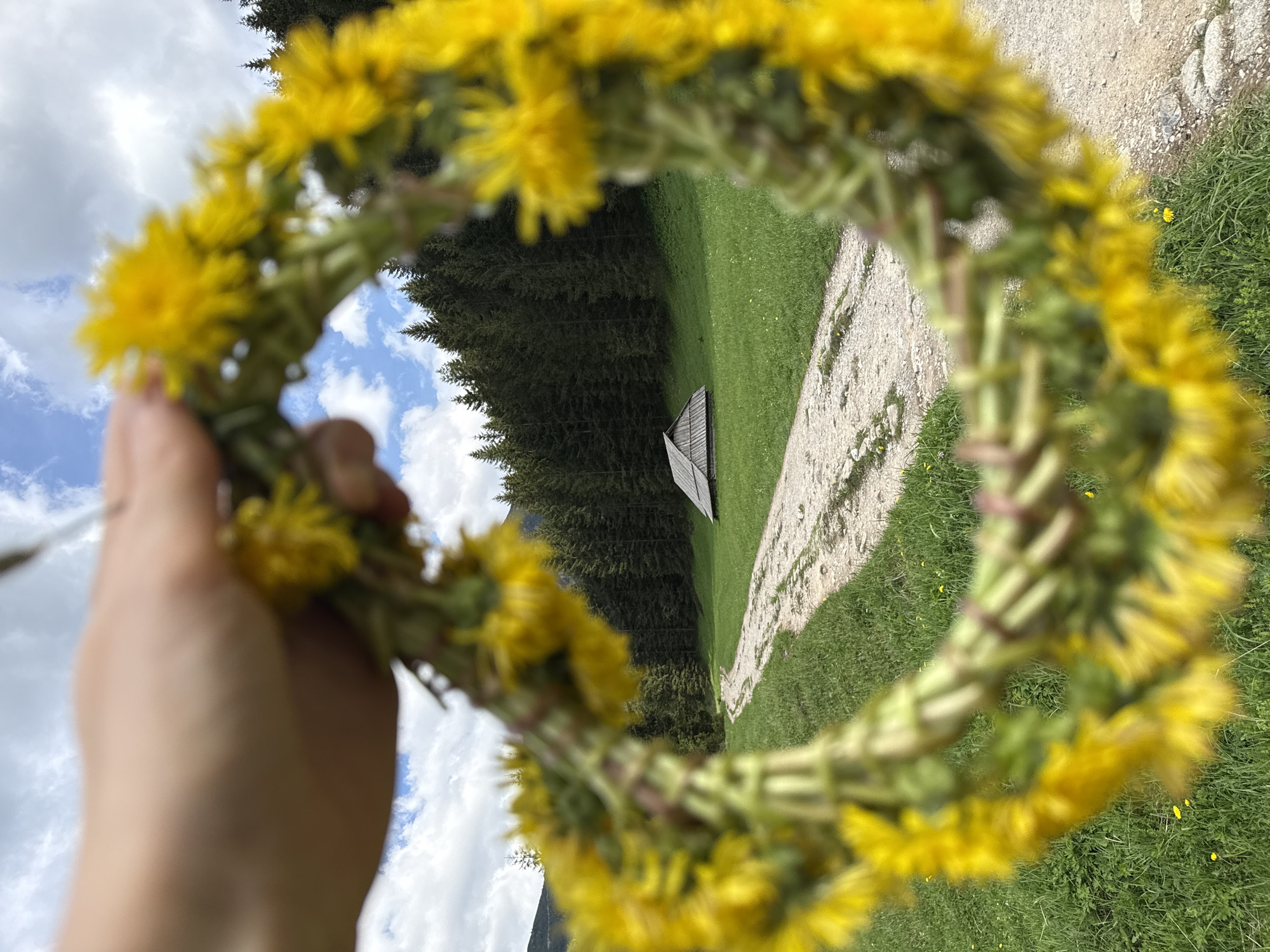 The image displays an outdoor scene, viewed through the circular opening of a dandelion crown. A human hand, holding the vibrant yellow and green flower wreath, is prominently featured in the foreground, both the hand and the crown appearing blurred to emphasize the depth of field.
Through the soft, yellow frame of the dandelions, a picturesque landscape is visible in sharp focus. Under a bright, partly cloudy sky, a wide expanse of rich green grass stretches out. A light-colored, unpaved path or track cuts through the grassy terrain on the right side of the frame. To the left, a dense line of tall, dark green coniferous trees forms a forest boundary, suggesting a mountainous region. Nestled near the treeline, a small, rustic wooden structure with a light-colored, sloped roof can be seen.
The activity captured is the simple pleasure of observing and framing nature through a handmade flower crown, likely during a sunny day in spring or summer. The scene evokes a sense of tranquility and connection with the natural environment. No text is visible in the image. The lush greenery, coniferous trees, and mountainous hints are consistent with a setting in Zakopane, Poland.