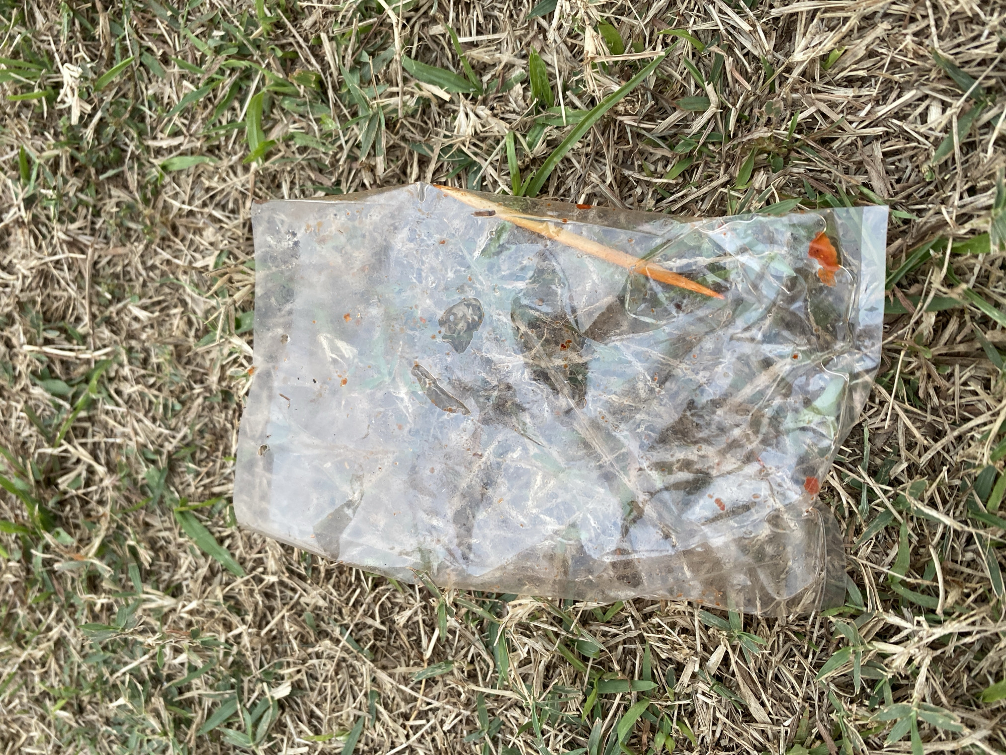 The image shows a transparent plastic bag filled with debris lying on a patch of dry grass and soil. The bag appears crumpled and contains various small objects, including what looks like small pieces of plastic and organic matter. A bright orange object, possibly a plastic straw or stick, is prominently visible inside the bag, along with some small red/orange fragments. The surrounding environment is a dry, grassy area, with sparse green blades of grass mixed with dried stalks and soil. The lighting suggests it is daytime. This scene was photographed in Kasihan, Indonesia.