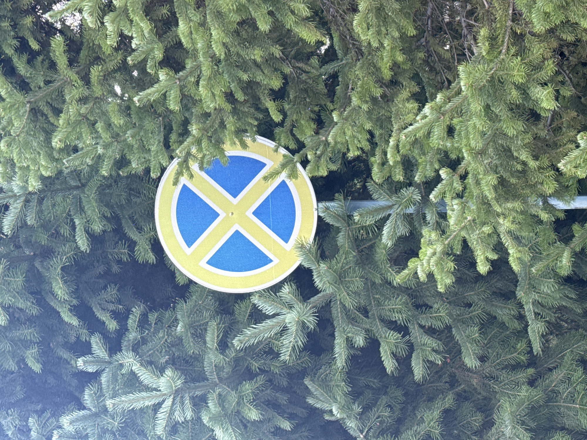 A round traffic sign with a blue background and a yellow "X" symbol is partially obscured by the branches of coniferous trees. The sign is mounted on a metal pole. The surrounding environment consists of dense green foliage, indicative of a natural or park-like setting within the city of Sary-Oy, Kyrgyzstan. No people are visible in the image.