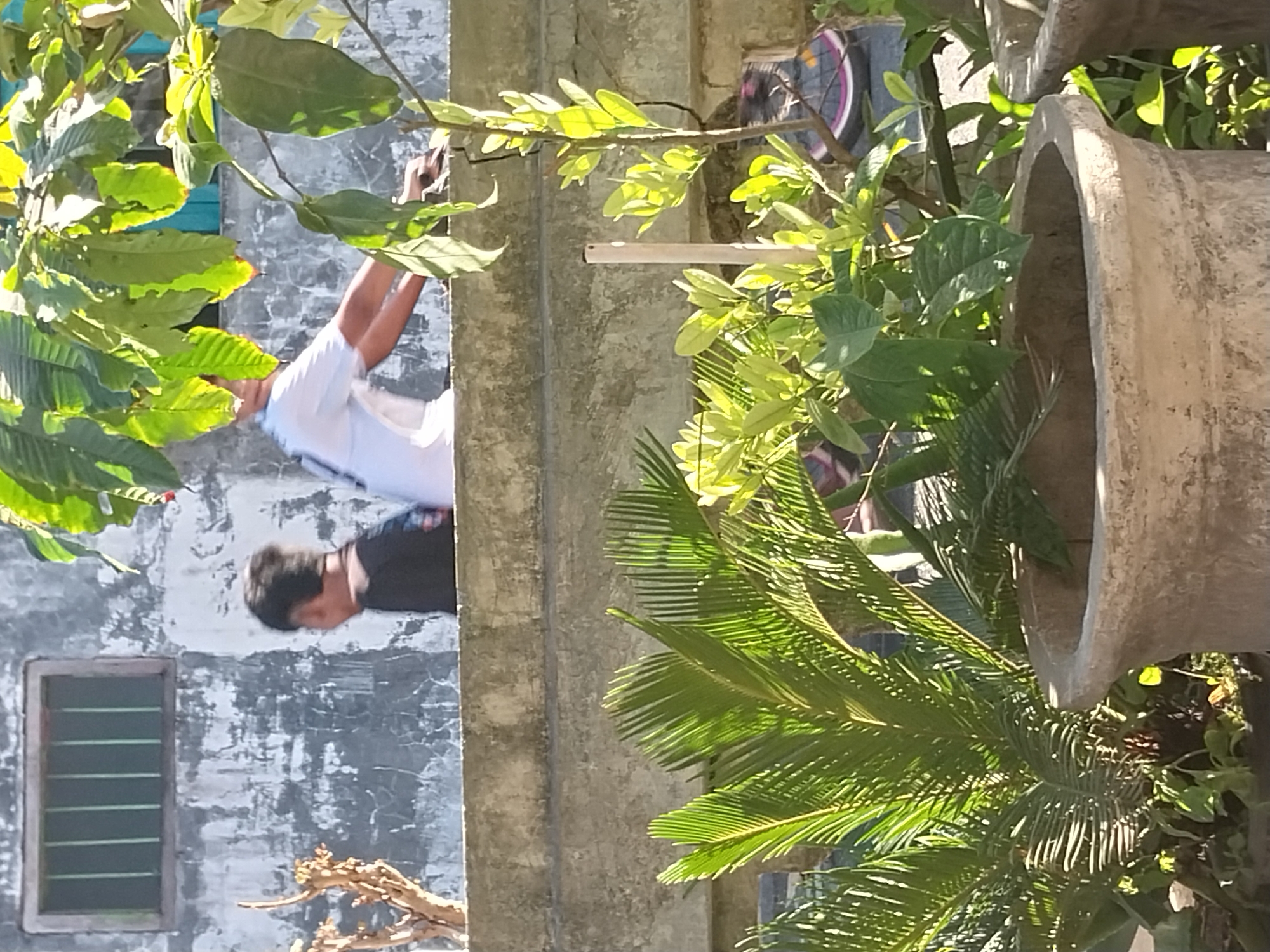 Two young males are on a concrete ledge in front of a weathered, gray concrete building with a barred window. One male, wearing a black t-shirt, is facing away from the camera and looking to his left. The second male, in a white t-shirt, is facing away from the camera and looking to his right, with his arms extended forward as if he is handing something off. In the foreground, two large, weathered concrete planters hold lush green plants. One planter is in the lower right corner, and another is in the lower center. The background shows the wall of the building and foliage from trees. The scene is outdoors, under bright sunlight, suggesting it is daytime. The location is identified as Nglegok, Indonesia.