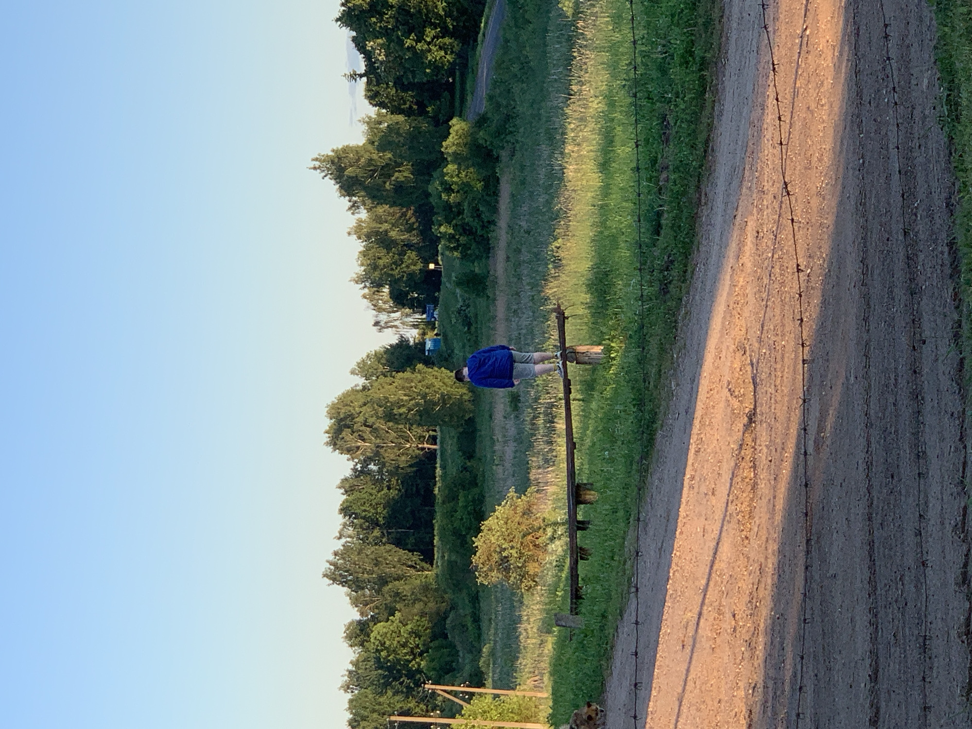 The scene depicts a rural landscape in Відзаўскі сельскі Савет, Belarus, under a clear, light blue sky during what appears to be late afternoon or early evening, evidenced by long shadows and golden light on vegetation.
In the mid-ground, a person is observed from behind, standing on a weathered horizontal wooden beam supported by two vertical wooden posts. The person is wearing a blue hooded jacket or sweatshirt, light-colored shorts, and light-colored sneakers. Their feet are spread apart on the beam, and they are looking towards the right side of the frame. To the left of the person, a small, bushy tree stands in a field of green grass. Further left, two rustic wooden utility poles are visible.
The background features a dense line of various deciduous trees with full green foliage, stretching across the horizon. A dirt or gravel path is visible winding through the grassy fields in the right background.
In the foreground, a wide dirt path is present, exhibiting long shadows cast from the left. Running horizontally across the lower part of the image are two strands of barbed wire, suggesting a fence or boundary. On the far left of this foreground path, partially obscured by shadow and the barbed wire, a reddish-brown animal (possibly a fox or dog) is visible, its head pointed downwards towards the ground.