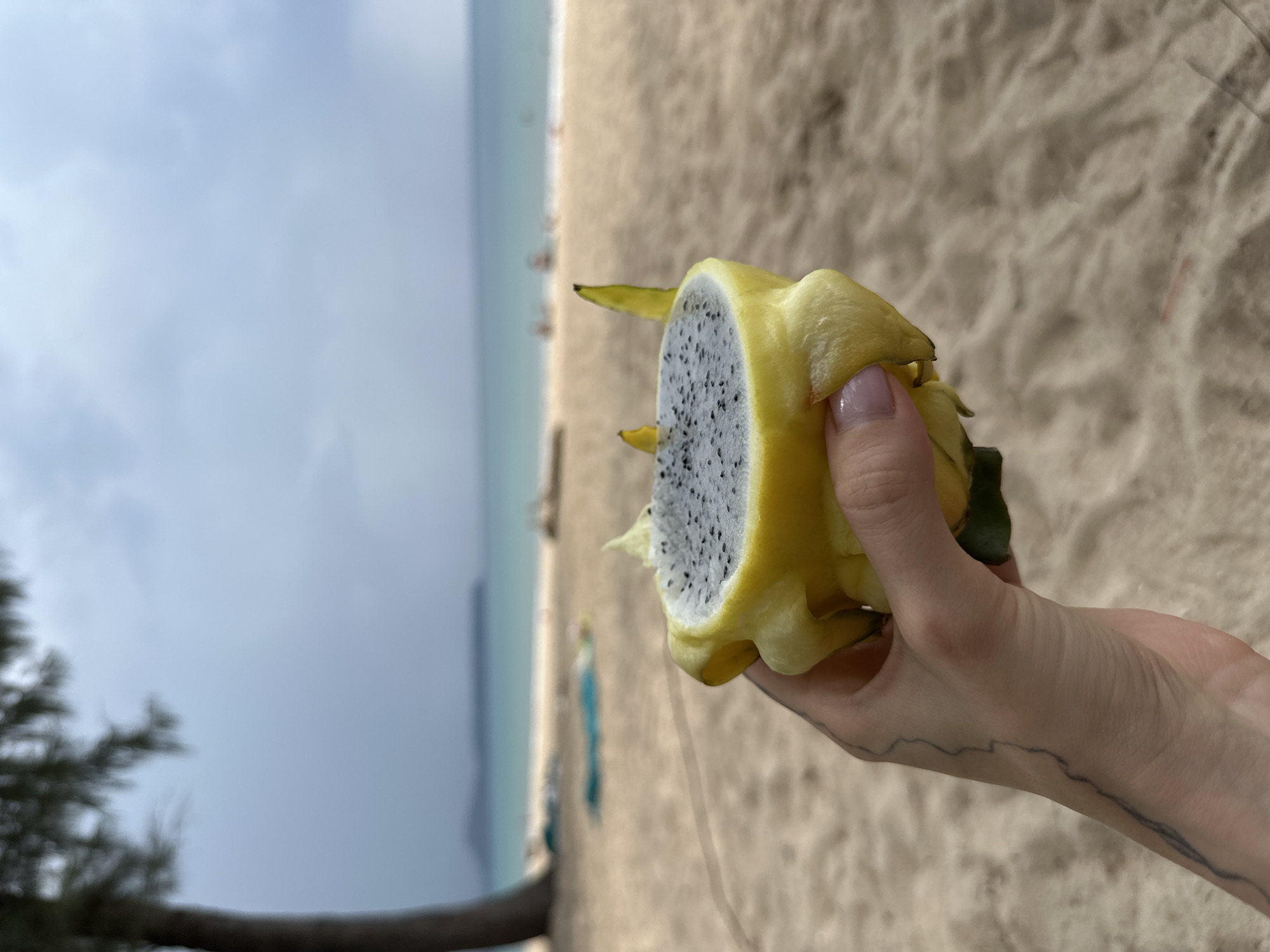 A hand holds a half-cut yellow dragon fruit in front of a beach scene in Choeng Thale, Thailand. The dragon fruit has yellow skin and white flesh with black seeds. The hand has light skin, a light pink nail polish, and a tattoo. The background shows a sandy beach and a body of water meeting a hazy sky. The view is partially obstructed by vegetation in the lower left corner. The scene suggests a tropical location.