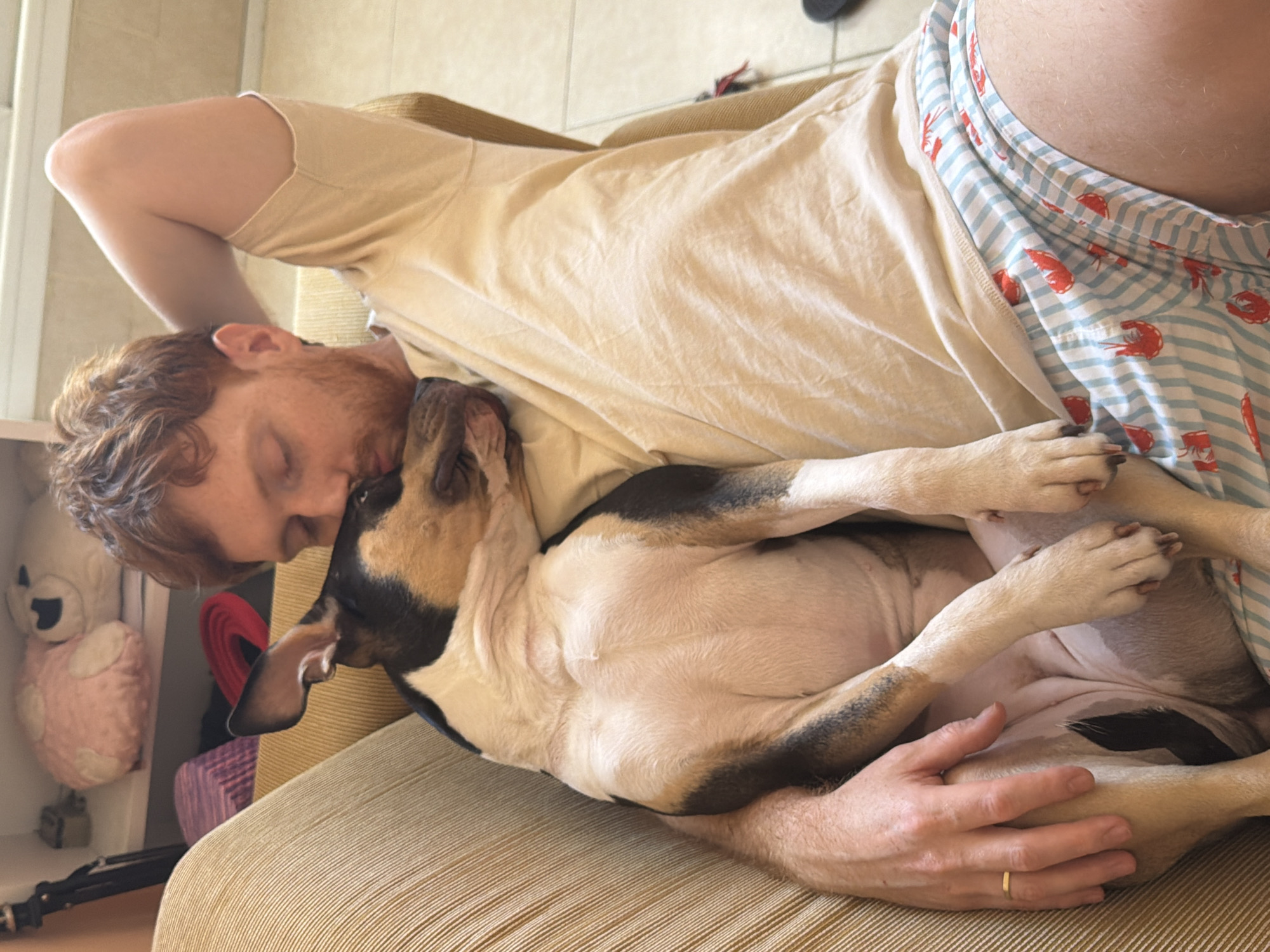 A man with red hair, wearing a tan t-shirt and blue and white striped pajama shorts with a lobster print, is lying on a gold-colored couch. He is embracing a dog with a white body and black markings on its head and legs. The dog is lying on its back with its legs in the air. The scene is indoors, with a white shelf visible in the background, containing a pink and white teddy bear. There is no evidence to suggest the location is Tel-Aviv, Israel.