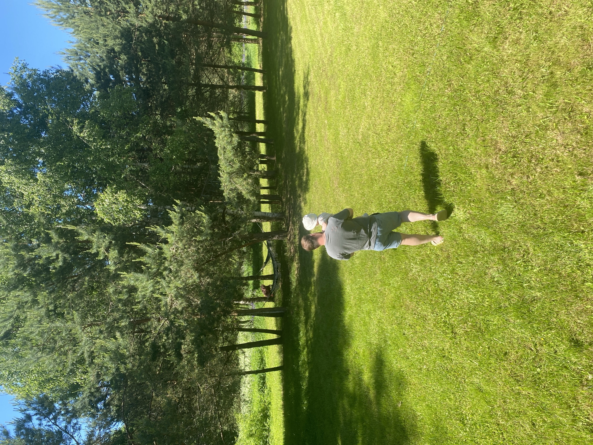 The scene depicts an outdoor grassy area in what is identified as Копнино, Russia, under a clear blue sky on a bright, sunny day. An adult male, viewed from behind, wearing a dark grey t-shirt, light blue shorts, and light-colored sandals, walks away from the camera across a vibrantly green, mown lawn. He carries a small child, dressed in a white bonnet and light-colored clothing, on his left hip. In the shaded background, beneath a dense line of coniferous and deciduous trees, two individuals are visible resting in hammocks, one dark and one light-colored. Beyond the trees to the left, further green foliage and an unidentifiable cultivated area are present. The strong sunlight casts distinct shadows of the trees and the walking figures onto the grass.