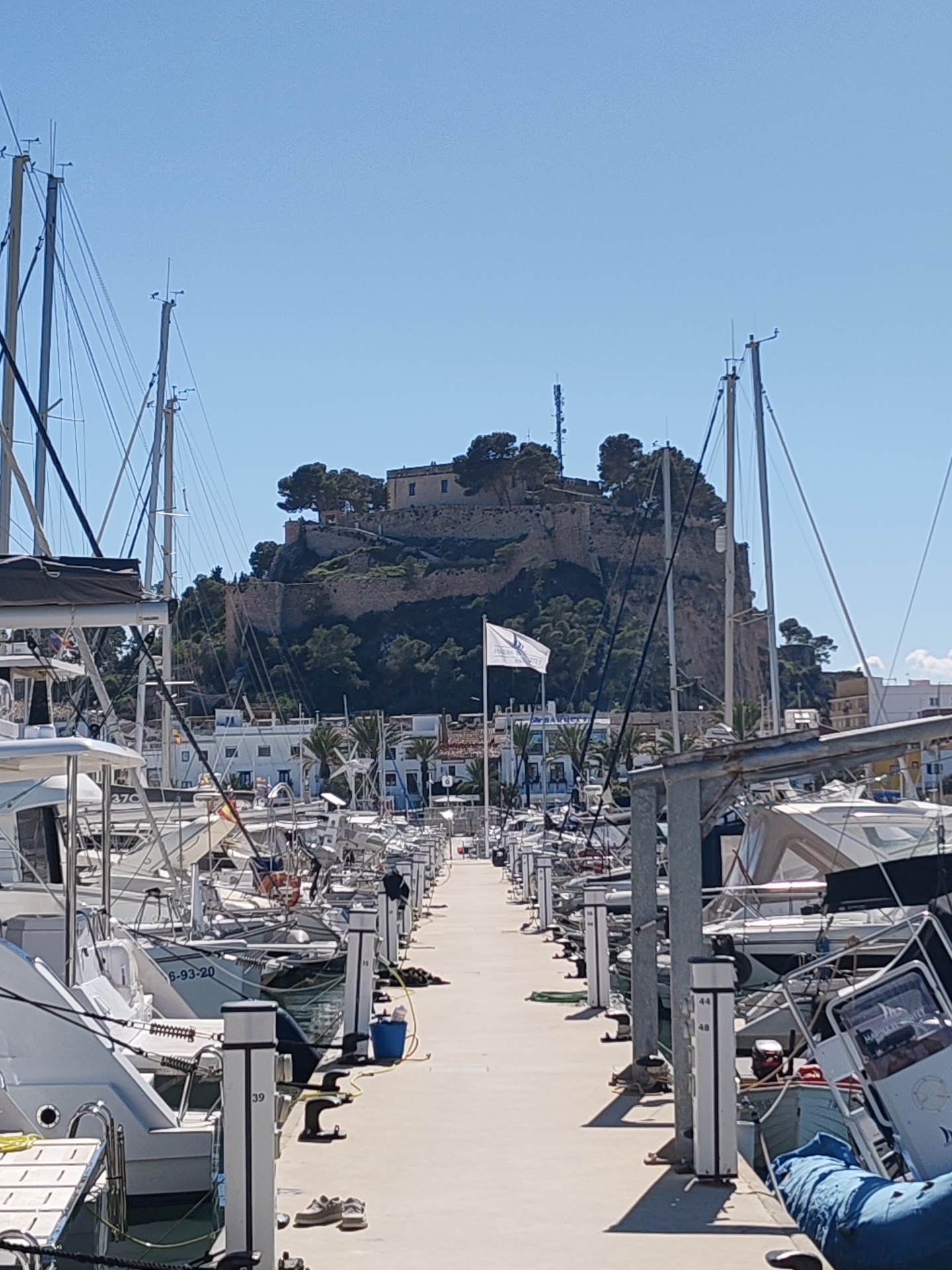 The image shows a marina in Dénia, Spain, with numerous sailboats docked along a concrete pier. In the background, a castle sits atop a hill, overlooking the marina. A white flag is visible, flying near the center of the frame. The sky is clear and blue. The view is focused along the pier between the yachts, looking towards the elevated landscape with the castle. The marina is in full sunlight.
