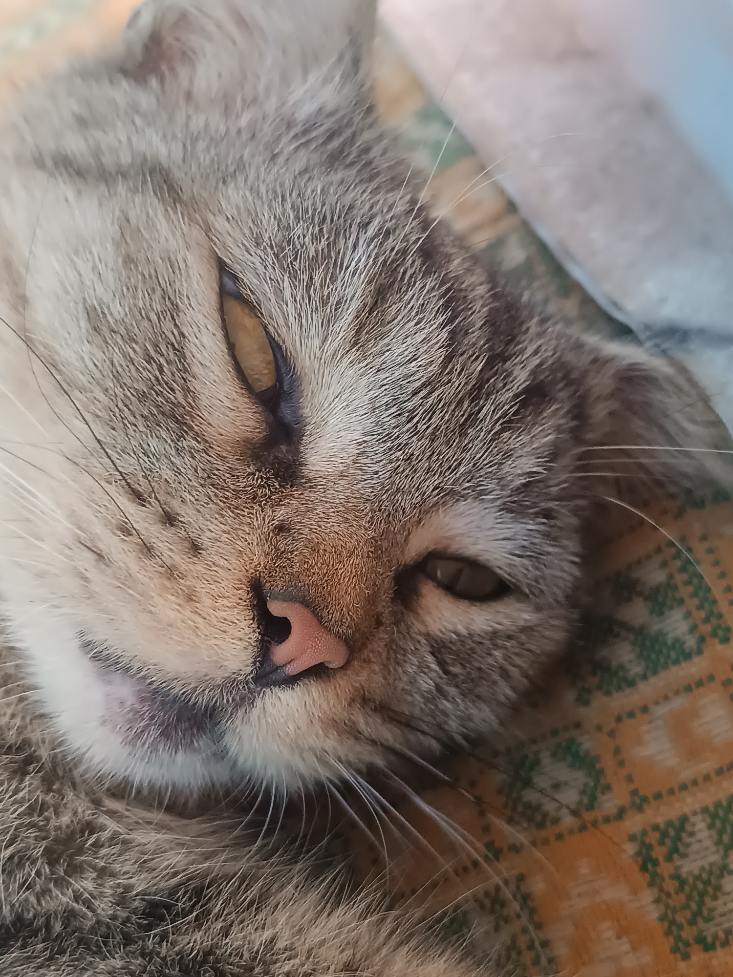 A close-up, shallow depth-of-field, eye-level shot shows a domestic cat lying down. The cat's fur is a mix of grey and brown stripes. Its left eye, which is more visible, is open and amber-colored with a slit pupil. The right eye is mostly closed. The cat's nose is pink and slightly wet. Its mouth is slightly open, revealing a hint of its pink gums and teeth. The cat is lying on a patterned fabric with yellow and green geometric designs. A blurred light blue object is visible in the upper right corner. The image does not contain any information about the city of Vypasne, Ukraine.