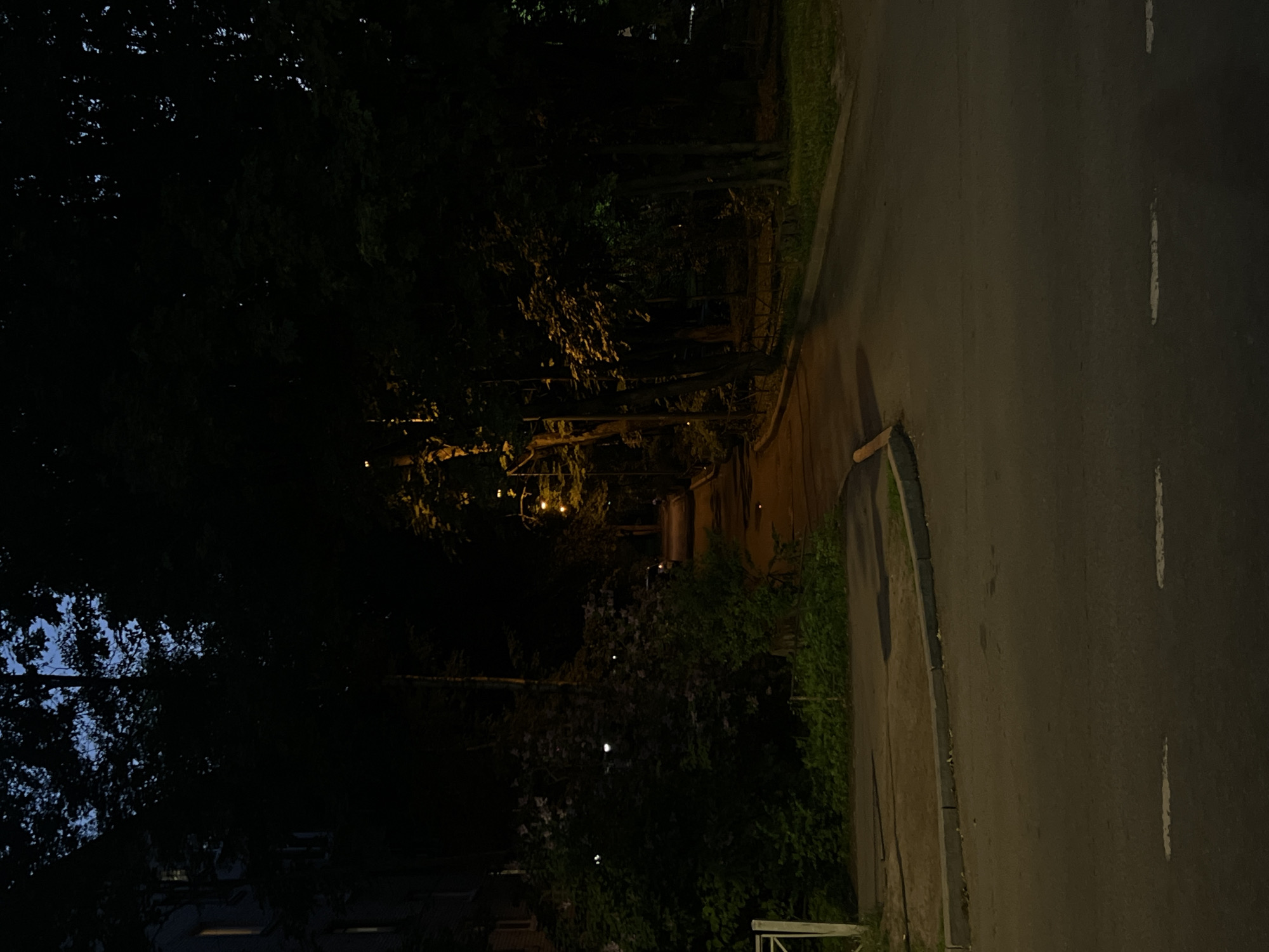 The image displays a nocturnal street and path scene within the city of Unknown, Russia. In the foreground, a dark asphalt road spans the bottom, marked with two parallel, faint white dashed lines. A concrete curb separates this main road from a dirt and patchy grass verge on the left, and from the entrance of a narrower asphalt path on the right. This path curves gently to the right and ascends into the distance, bordered on both sides by dense, dark green trees and bushes. A series of amber-colored streetlights illuminate the path, casting warm light and elongated shadows on its surface and the surrounding foliage. On the far left, a dark building, appearing to be multi-storied, is partially visible behind the trees, with a few windows exhibiting faint internal illumination. The upper section of the image is dominated by the dark silhouettes of tree canopies against a very dark, faint blue sky. No individuals or active vehicles are present in the scene.