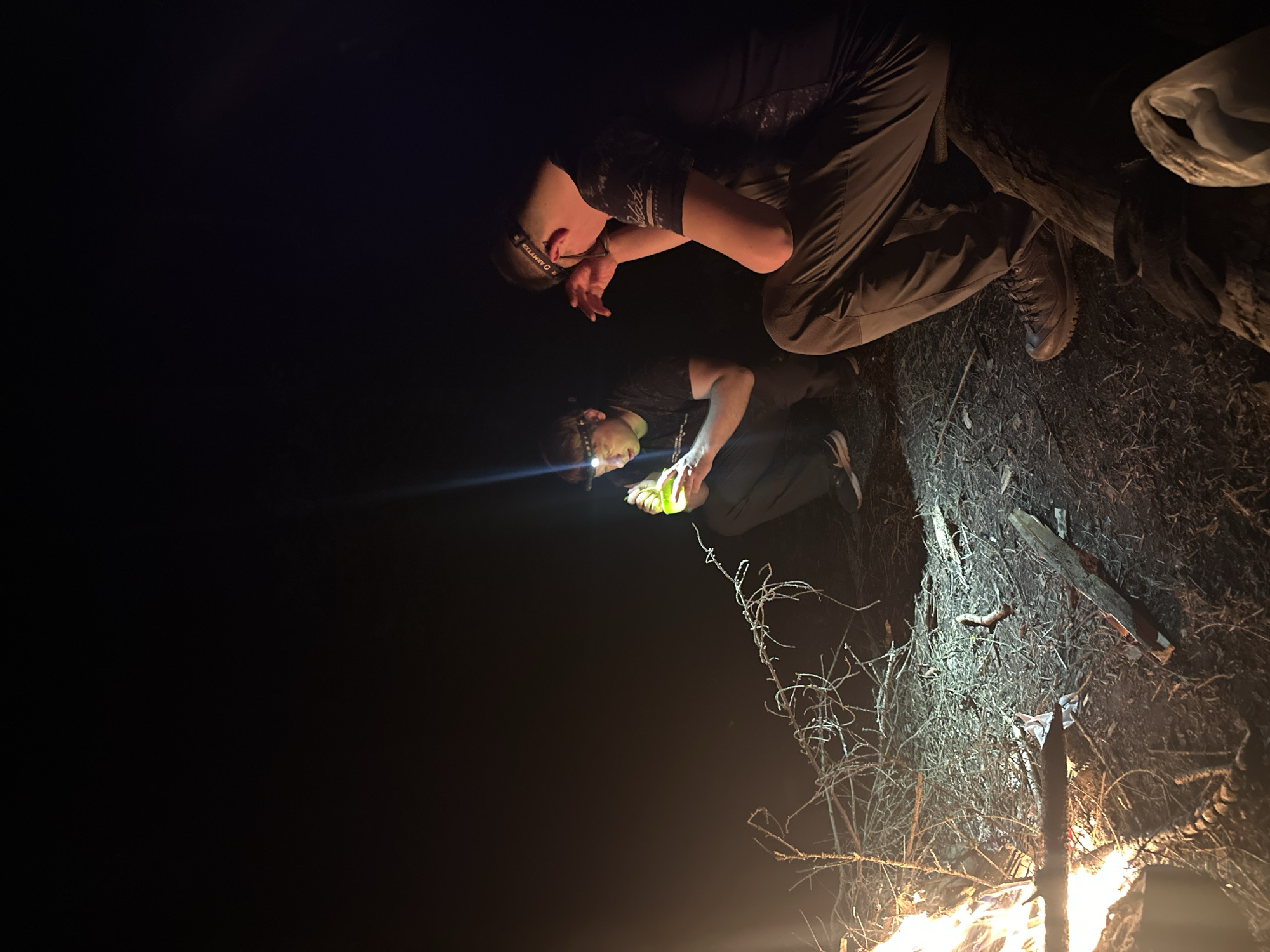 Two people are crouching near a fire in Юзуфоўскі сельскі Савет, Belarus. The person closest to the camera is shining a light on something green they are holding in their hand. Both people are wearing headlamps. The environment is dark, with the fire providing the main source of light. There are sticks and debris on the ground around the fire.