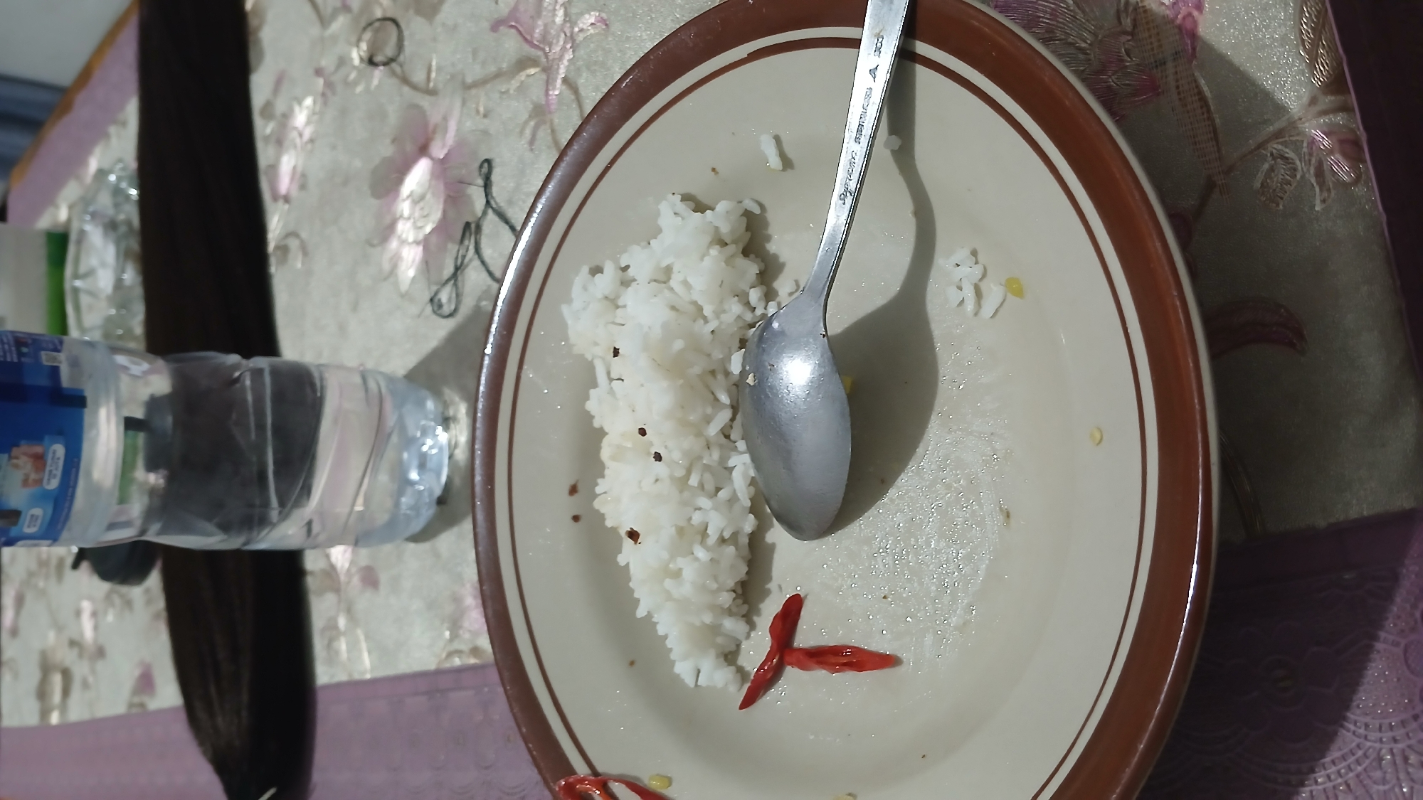 A close-up shot captures a plate of white rice on a patterned tablecloth. A silver spoon rests on the plate, next to the rice. Two sliced red chili peppers are arranged in a "T" shape to the left of the rice. A clear plastic bottle of water stands behind the plate, and a dark, woven mat is visible in the background. The scene appears to be set in Sampang, Indonesia, possibly on a dining table.