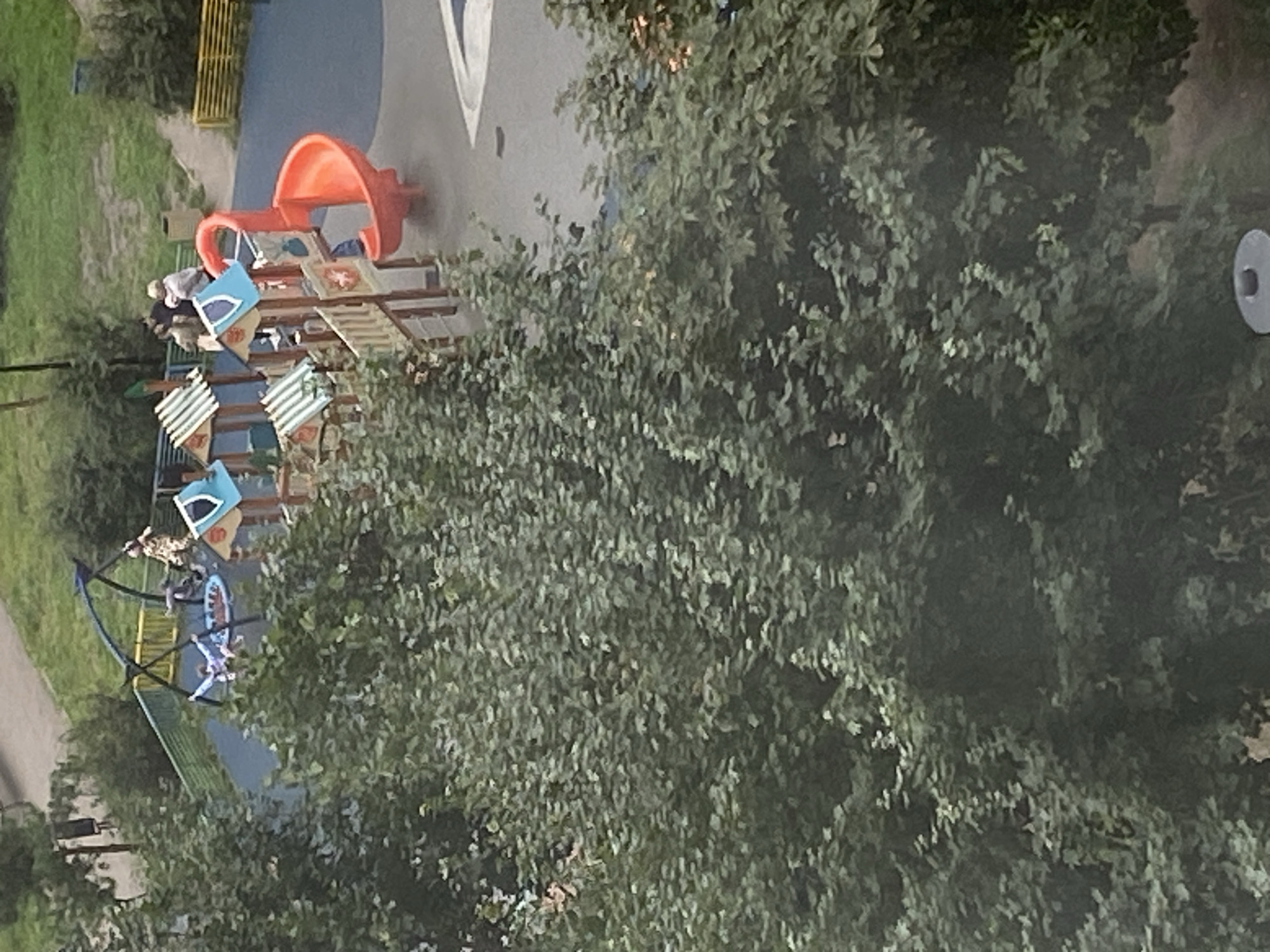 An aerial perspective captures a children's playground, partially obscured by dense, dark green foliage. The playground features a vibrant red spiral slide, a multi-level structure with beige and white accents and blue roofs, and a swing set with a blue circular seat. Several children are present: one on the swing set, another on the circular seat, and at least two near the playground structure. A woman with blonde hair and a light-colored top is visible, as is another person in dark clothing. The playground surface is a textured blue, bordered by a yellow fence and green bushes. Beyond the playground, a paved path and grassy areas are visible, along with distant trees and buildings.