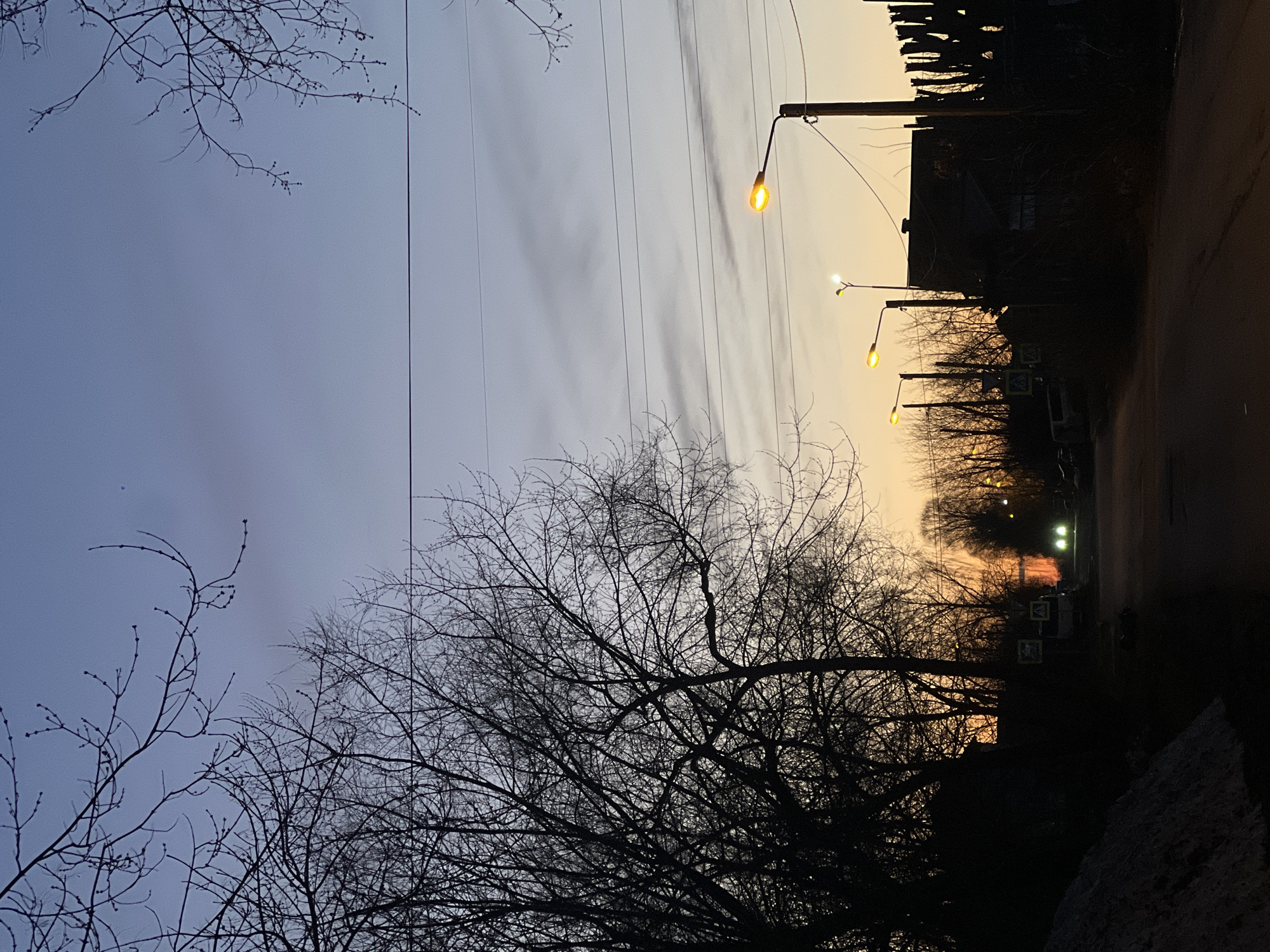 The image captures a twilight scene in Berezniki, Russia. The sky transitions from a muted blue to orange near the horizon. Electrical wires stretch across the sky. Bare trees, silhouetted against the dim light, dominate the foreground. Three streetlights emit a warm glow. A street is visible, flanked by buildings on the right and obscured by trees in the distance. Headlights from a distant vehicle are visible on the street. Pedestrian crossing signs are present. The image shows street on a cold day.