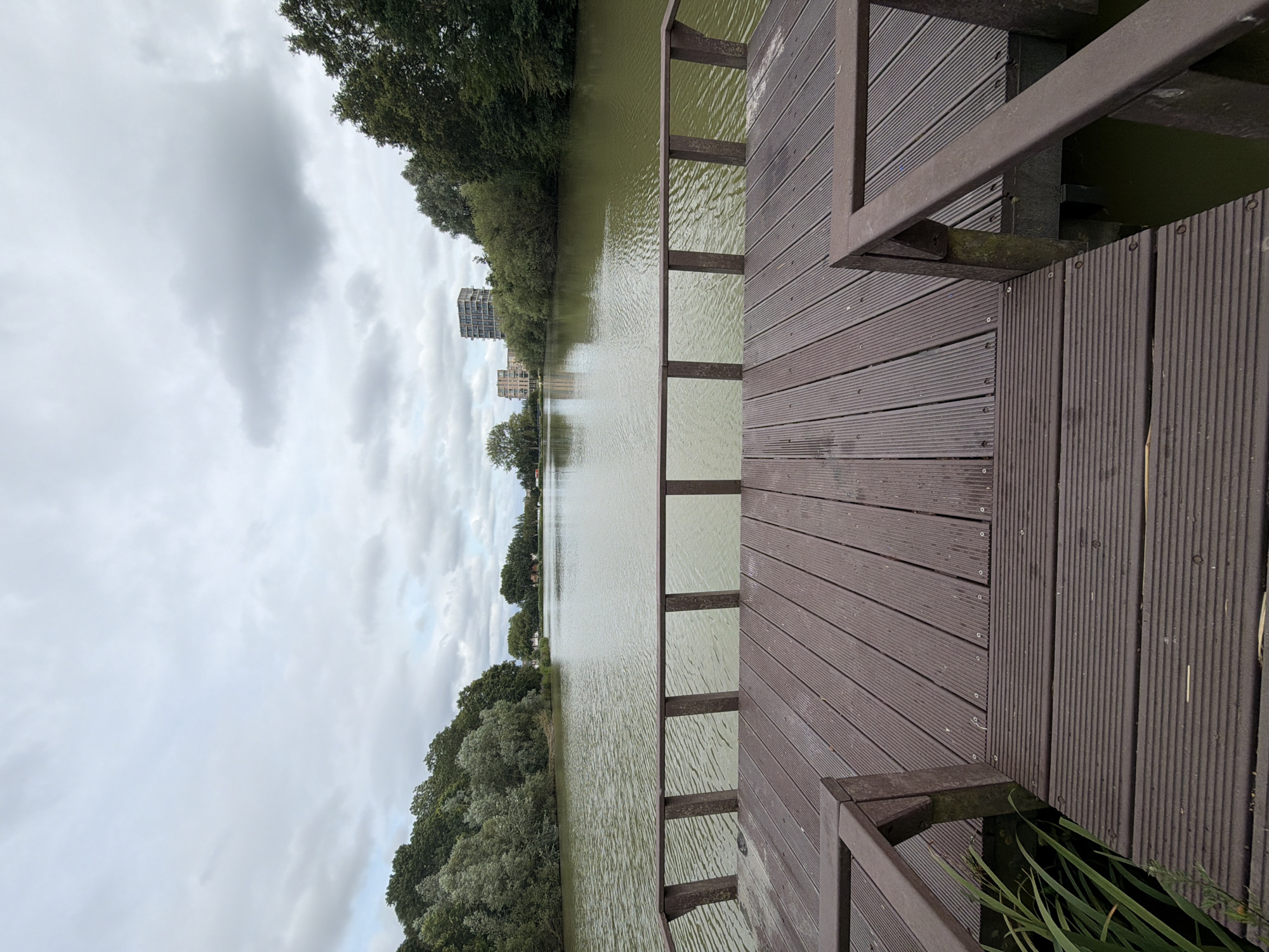 The image depicts a wooden pier extending over a body of water. The pier is constructed of dark brown planks arranged horizontally. A dark brown wooden railing runs along the edge of the pier. On the left side of the pier, some green vegetation grows at the water's edge. The water is calm and reflects the overcast sky. In the background, lush green trees line the banks of the water. Further in the distance, two modern buildings with many windows are visible. The sky is heavily clouded, suggesting a cool or possibly rainy day. The scene appears to be a park or recreational area within the city of Rijswijk, Netherlands.